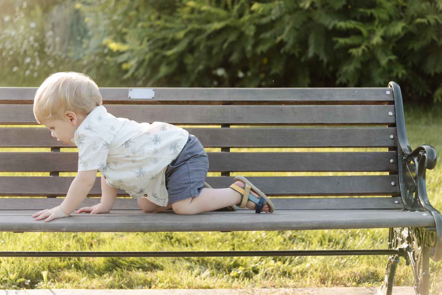 Young boy climbing on a park bench during a candid family photo session at Centennial Lilac Garden in Niagara Falls