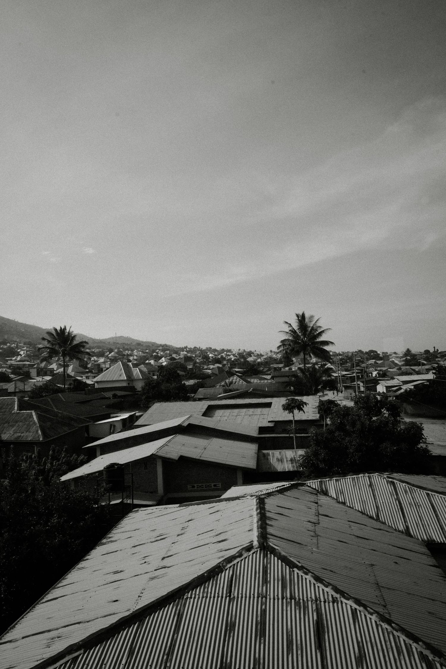 Aerial view of metal rooftops and palm trees in a residential neighborhood.
