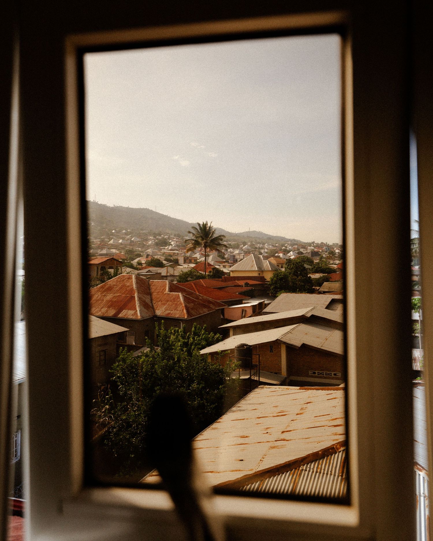 Urban landscape with terracotta roofs and palm trees viewed through a large window.