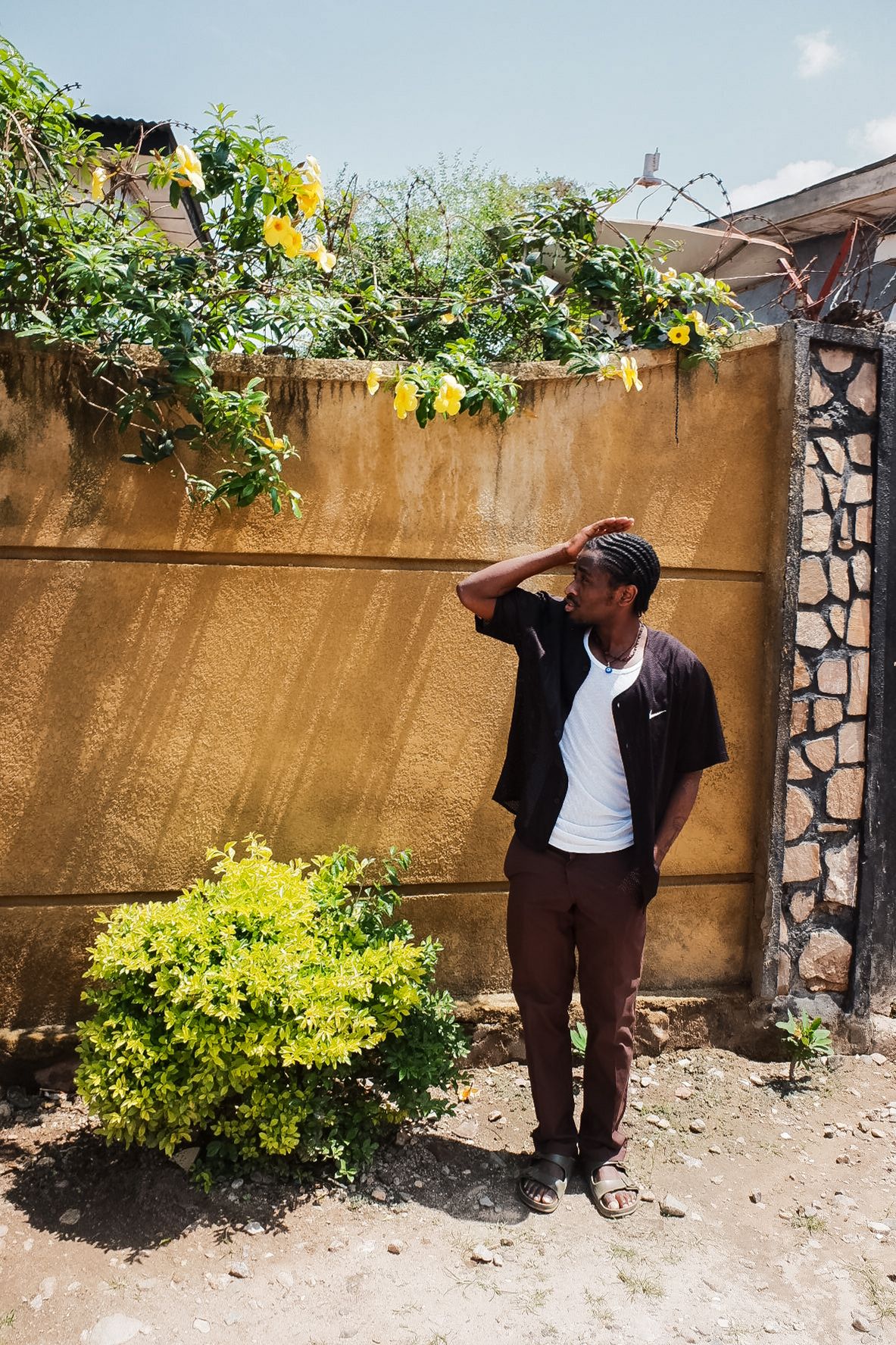Series of poses against a yellow wall with green plants and stone accents.