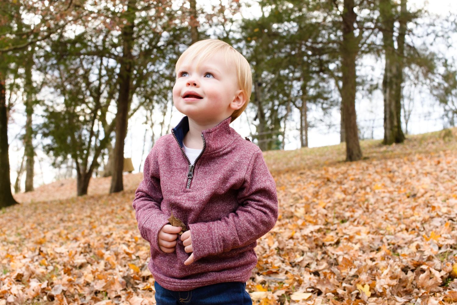 Young child in burgundy sweater exploring fallen autumn leaves in wooded area.