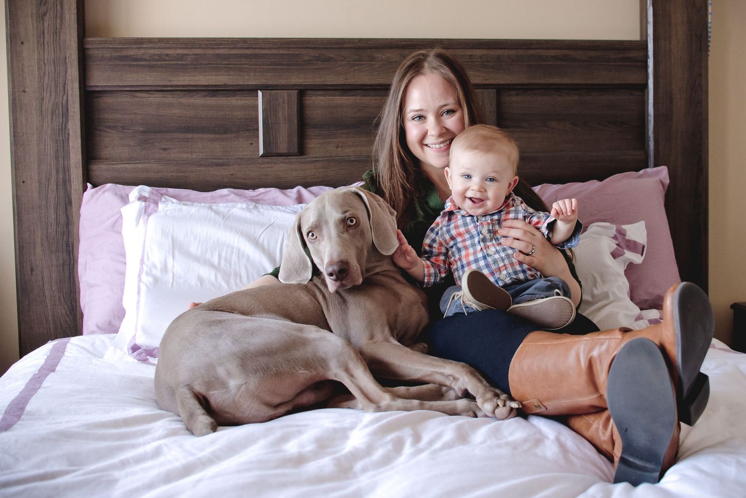 Collection of indoor lifestyle photos showing relaxed moments with pets on furniture.