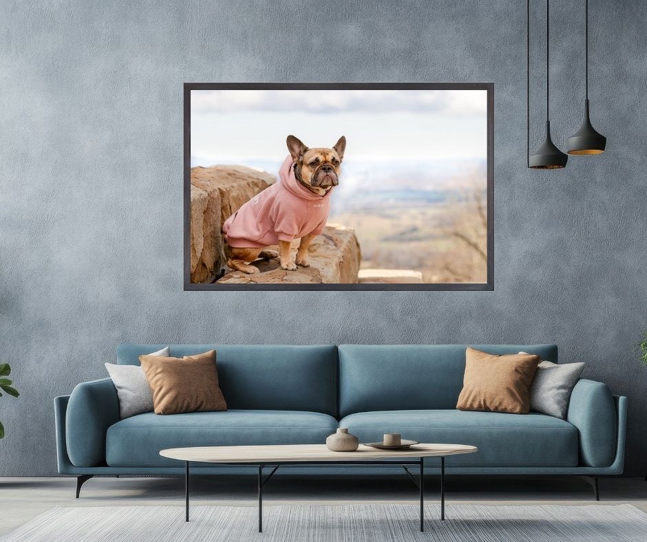 Modern living room interior with blue sofa, pink cushions and panoramic desert landscape artwork on gray walls.