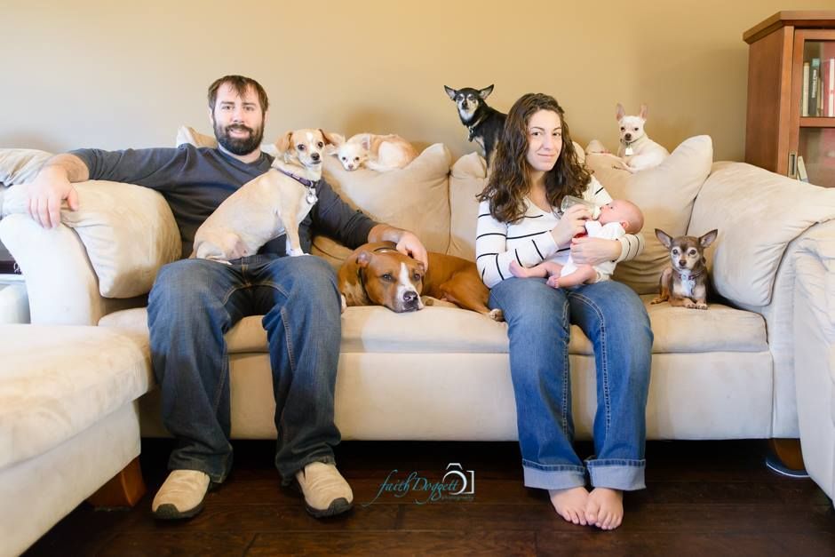 Sequence of casual lifestyle photos showing people and pets lounging on a beige sofa.