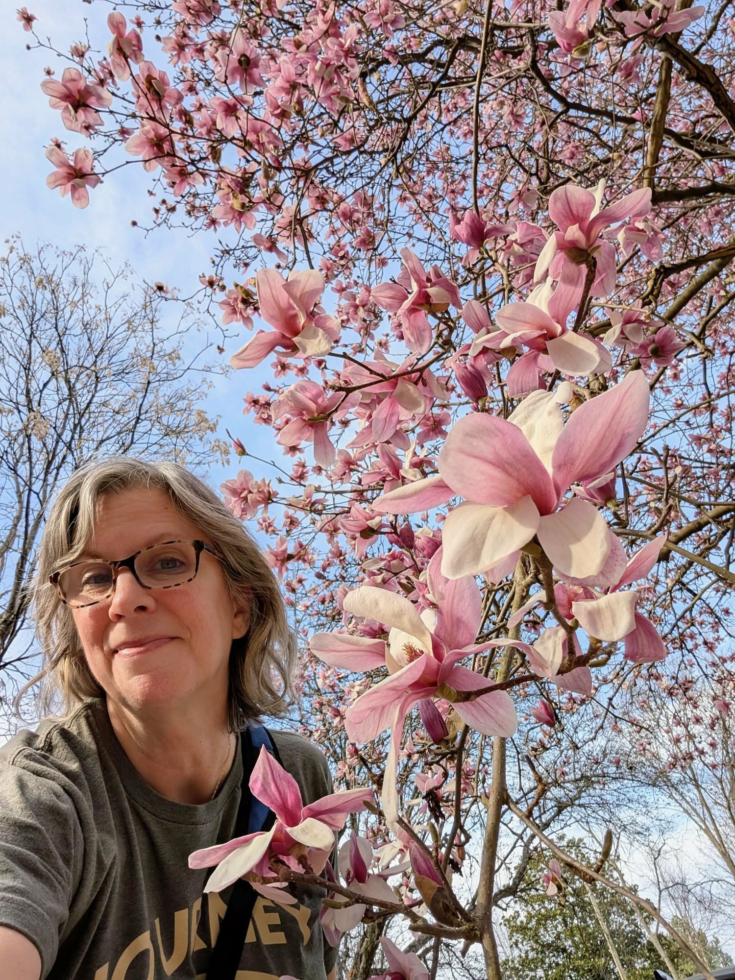 Faith Doggett with her Pink magnolia blossoms blooming against a bright blue spring sky.
