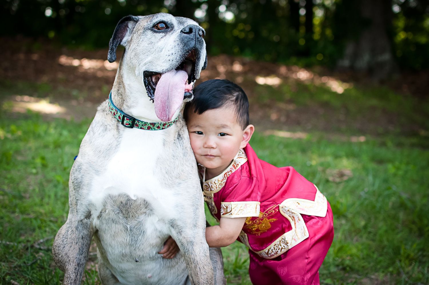 A large white and gray dog sits in the grass next to a small child wearing a bright red shirt.
