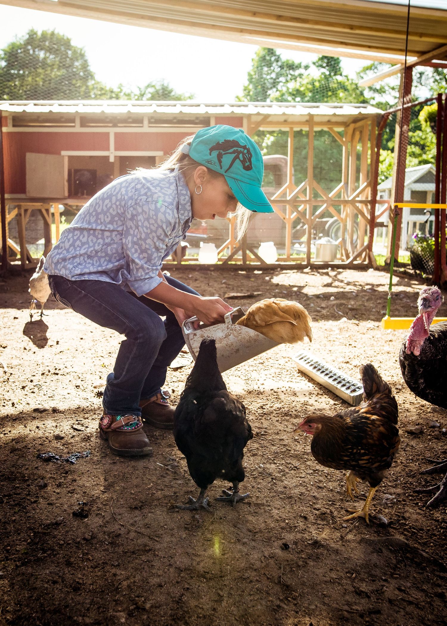 A child excited over a chicken jumping into the feed scoop. Chickens pecking at the ground under a covered outdoor shelter on a farm.