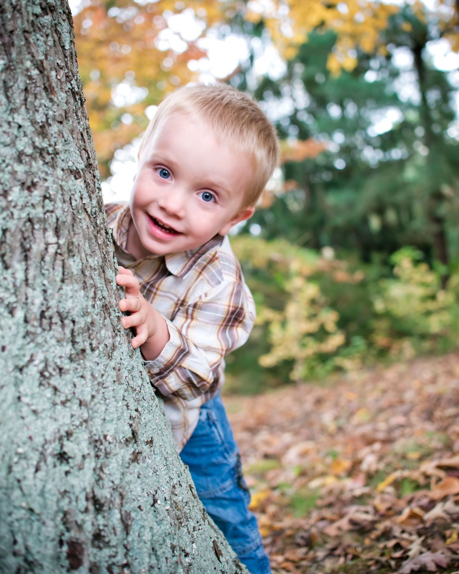 A playful scene in autumn with someone peeking around a large tree trunk surrounded by fallen leaves.