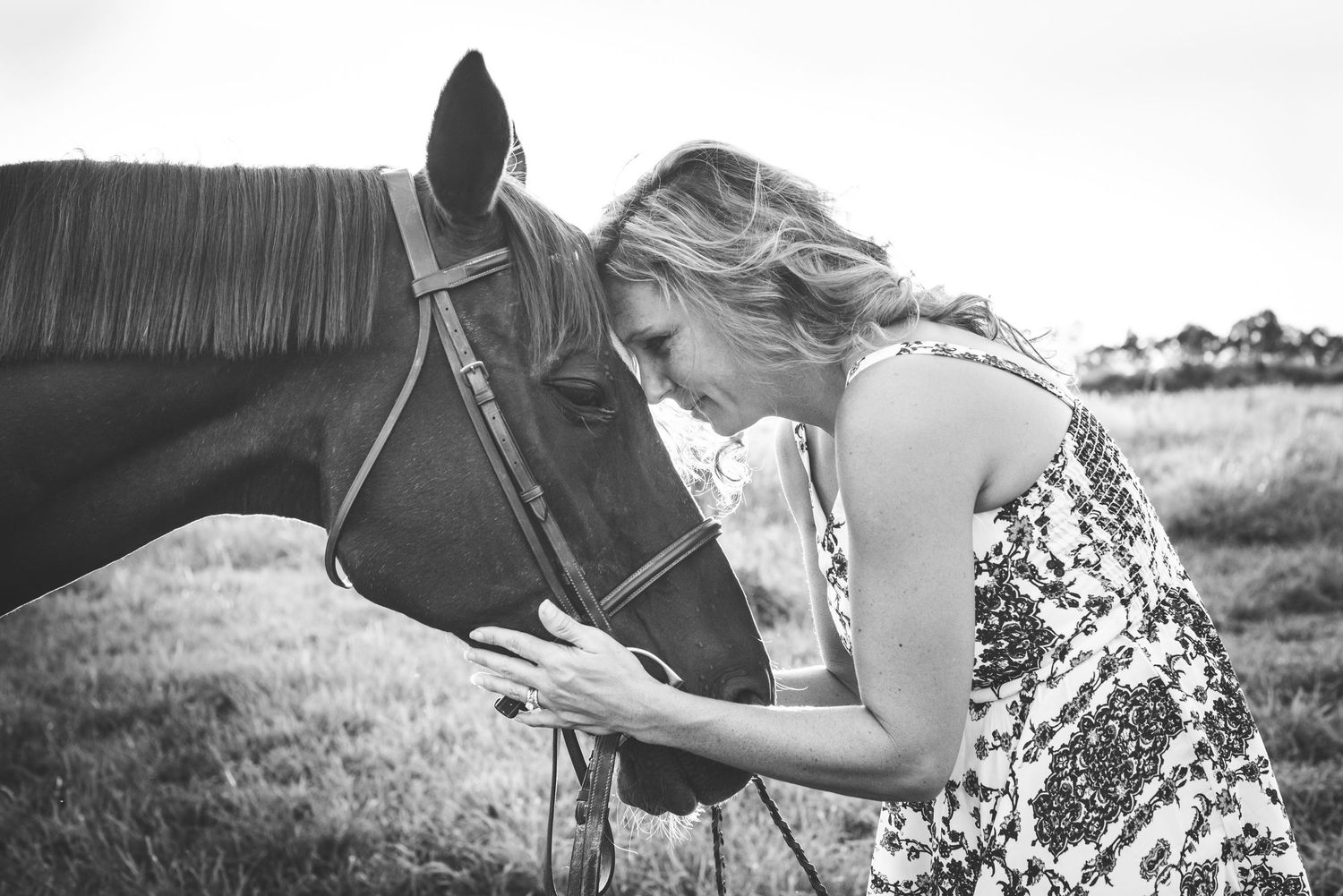 Black and white series of romantic equestrian photos showing a horse and rider in a field at sunset.