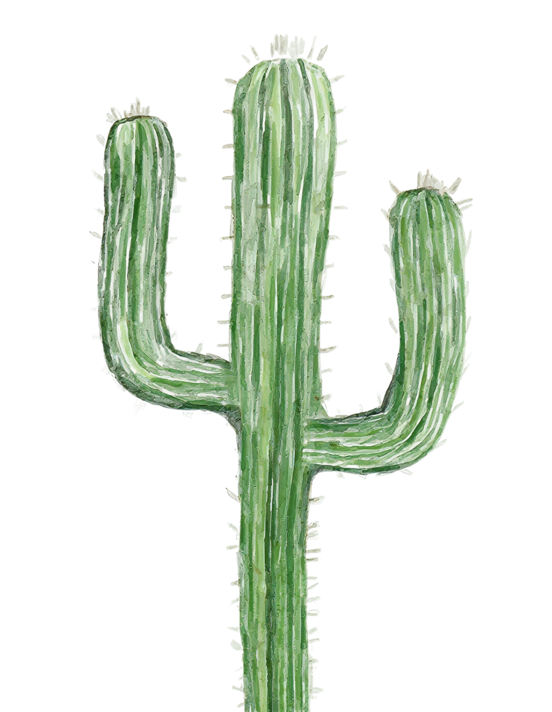 Watercolor illustration of a tall green saguaro cactus with two arms on a white background.