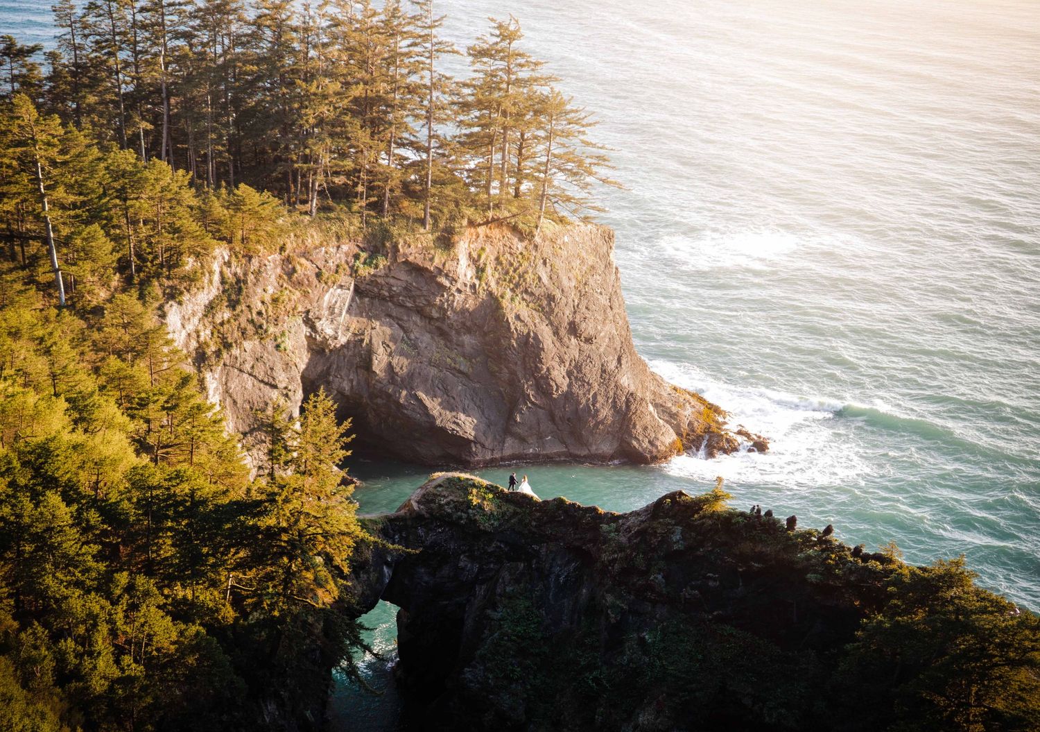 Rocky coastal cliff with tall pine trees overlooking turquoise ocean waves, featuring a natural stone arch below.