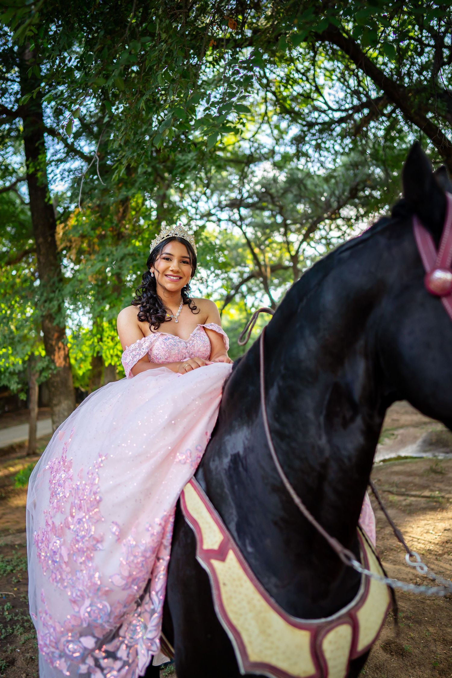 Young woman in a pink quinceañera ball gown and tiara posing elegantly on a black horse in a park.