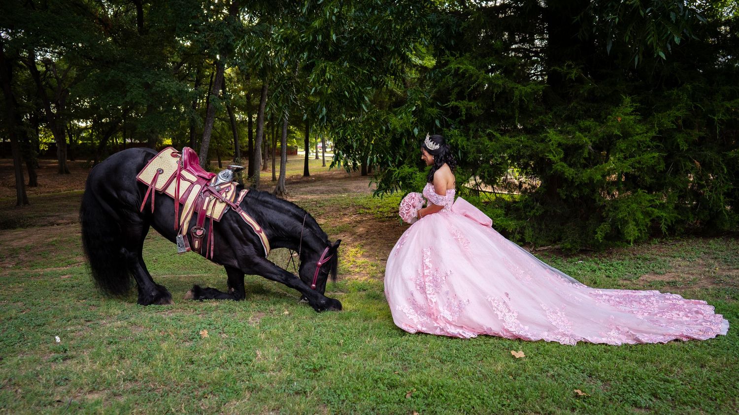 Quinceañera in pink ball gown stands beside a bowing black horse in a lush green park setting.