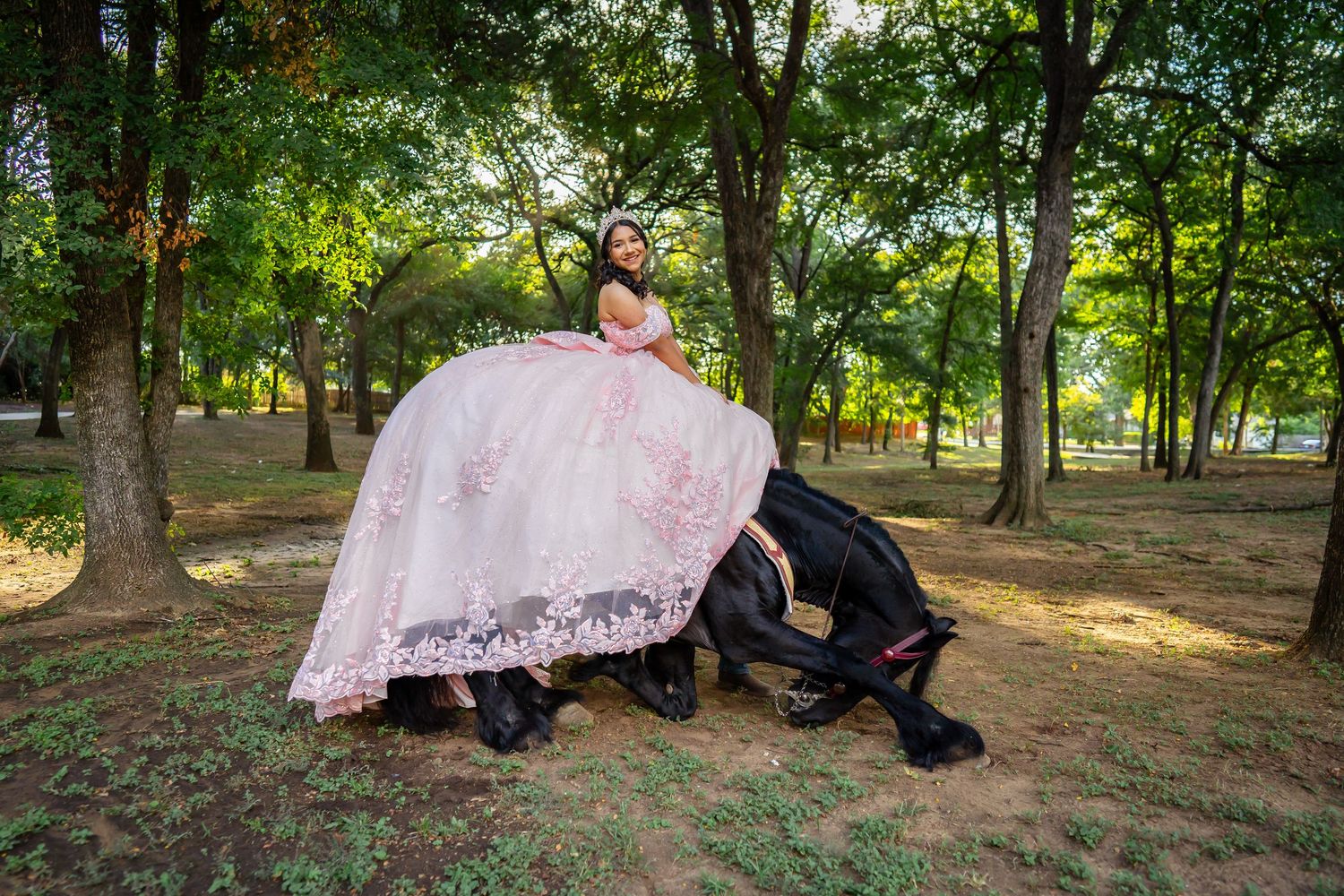 Young woman in a pink quinceañera gown posing with a bowing black horse under green trees outdoors.