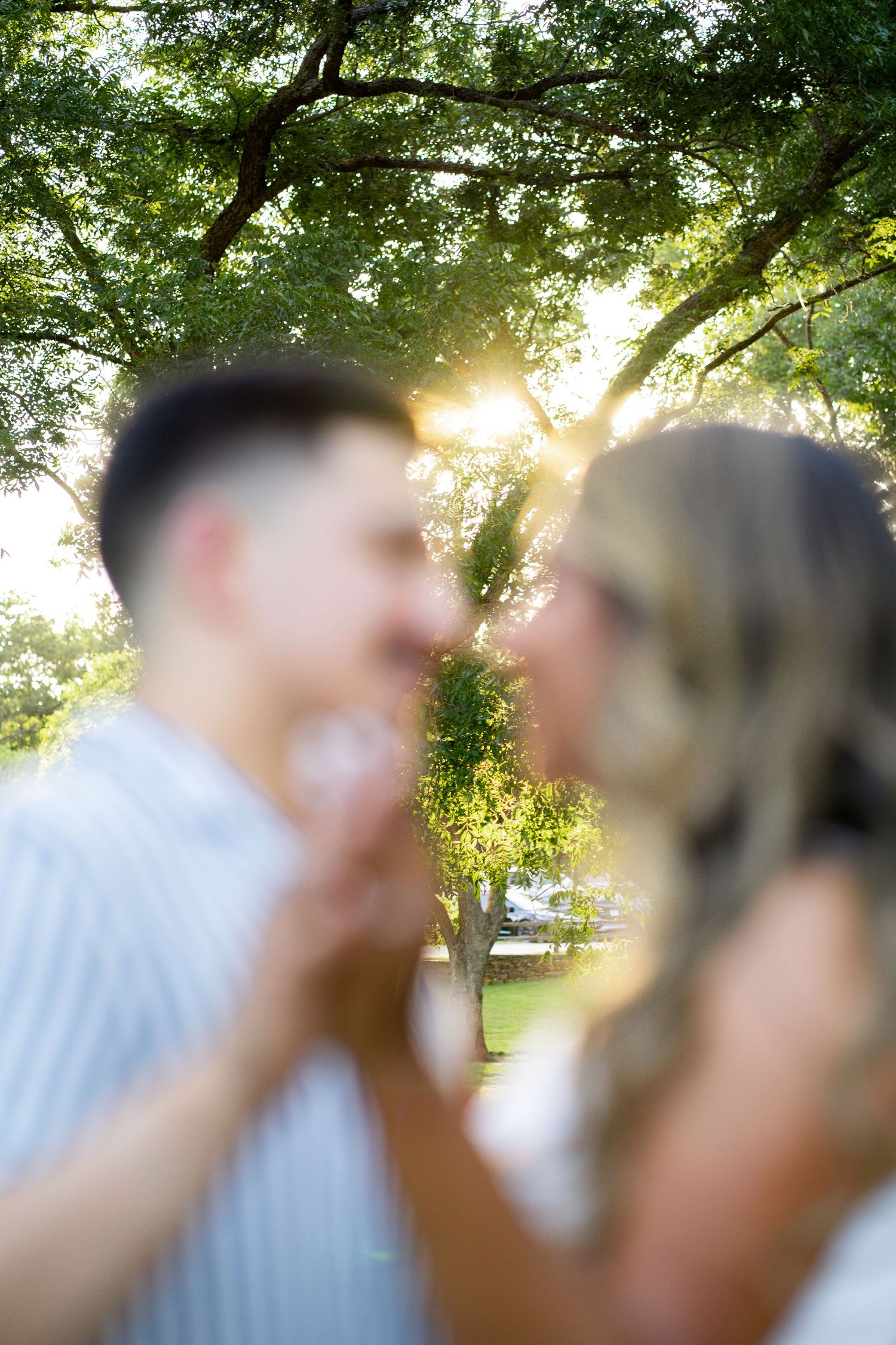 Blurred couple nearly kissing with golden sunlight streaming through green trees in a park.