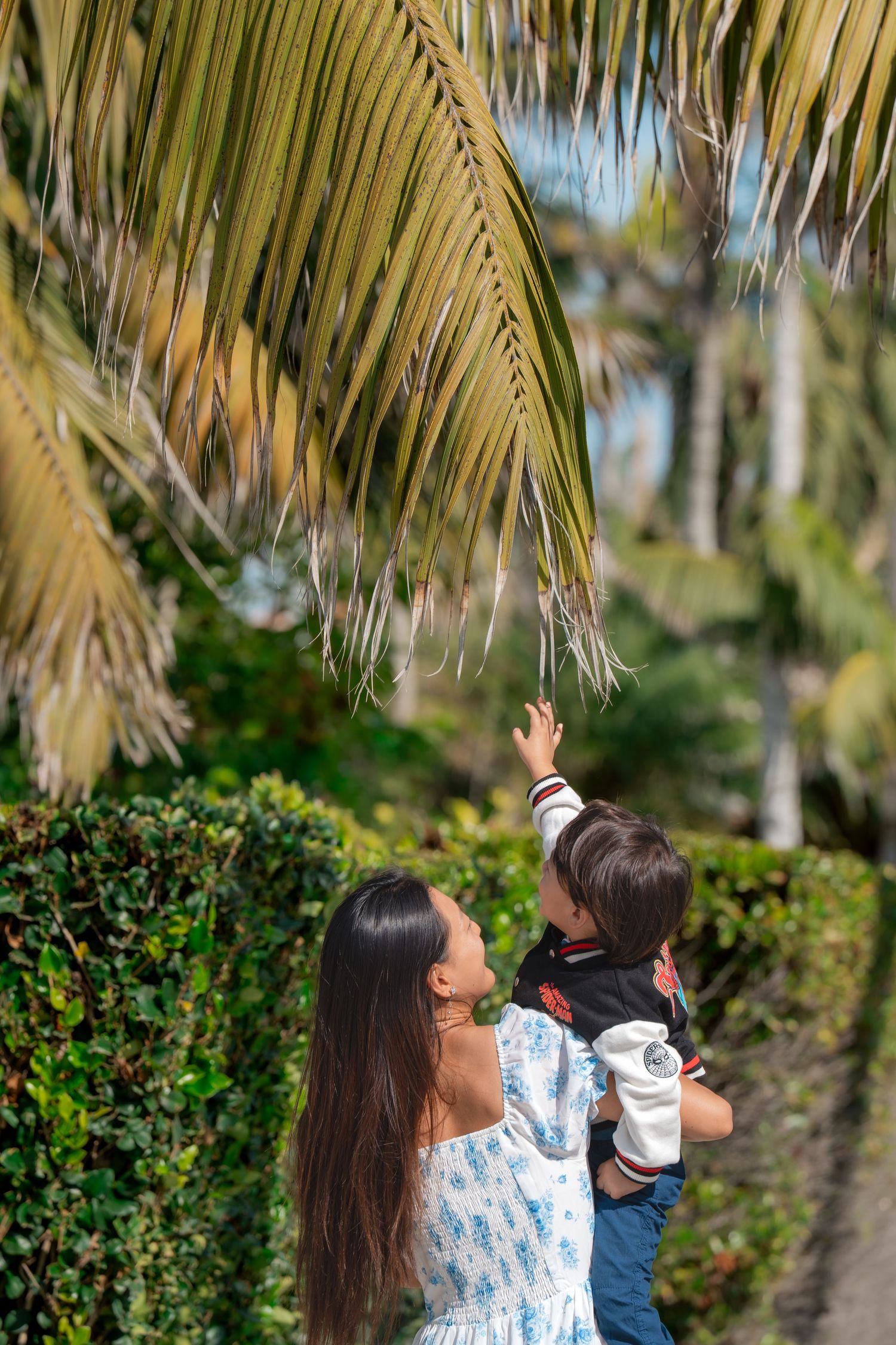 Mother lifting toddler toward palm leaves during a lifestyle family photography session by a Colorado family photographer.