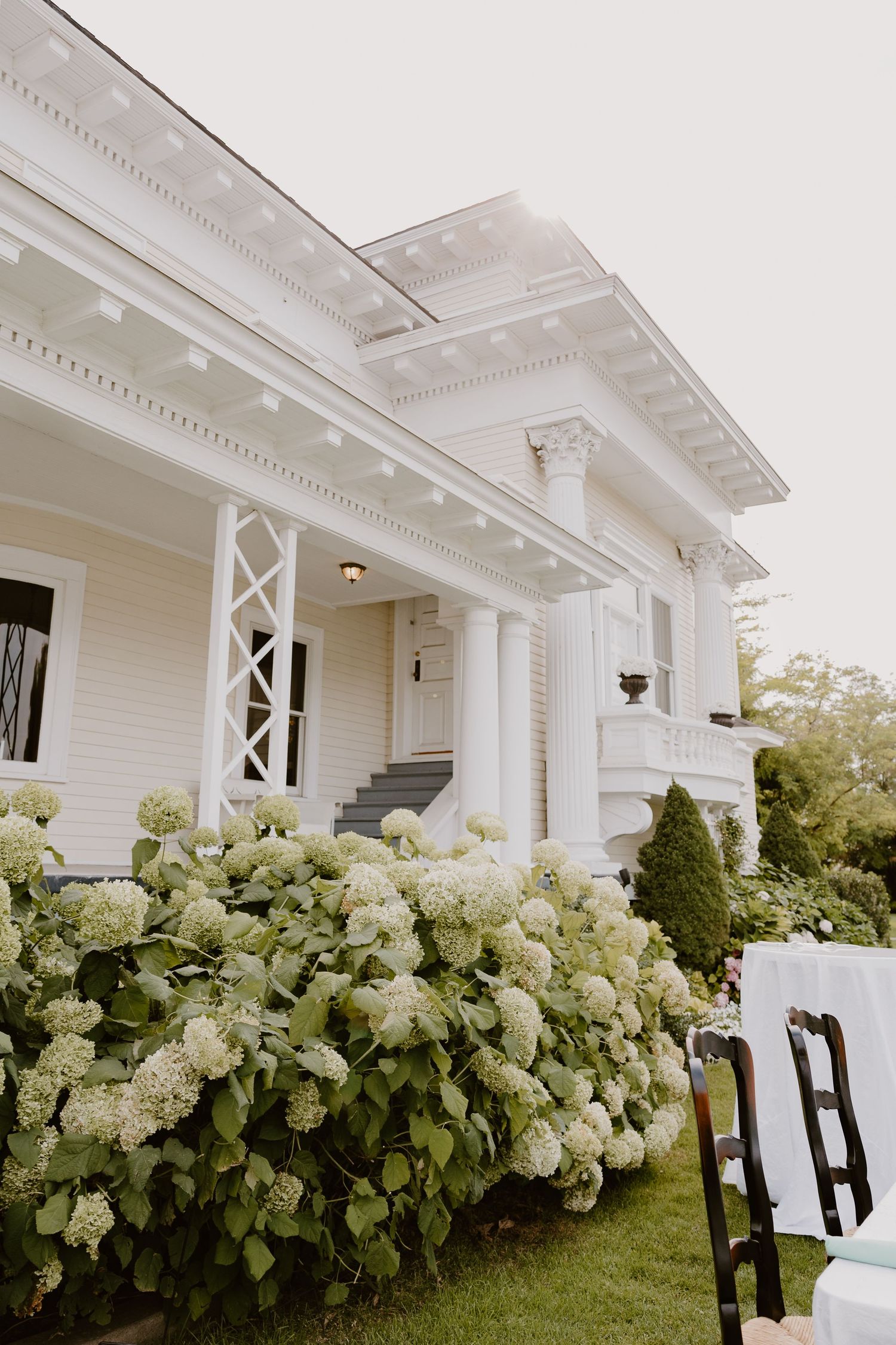 White hydrangea bushes bloom abundantly along the base of an elegant white colonial-style porch with ornate trim details.