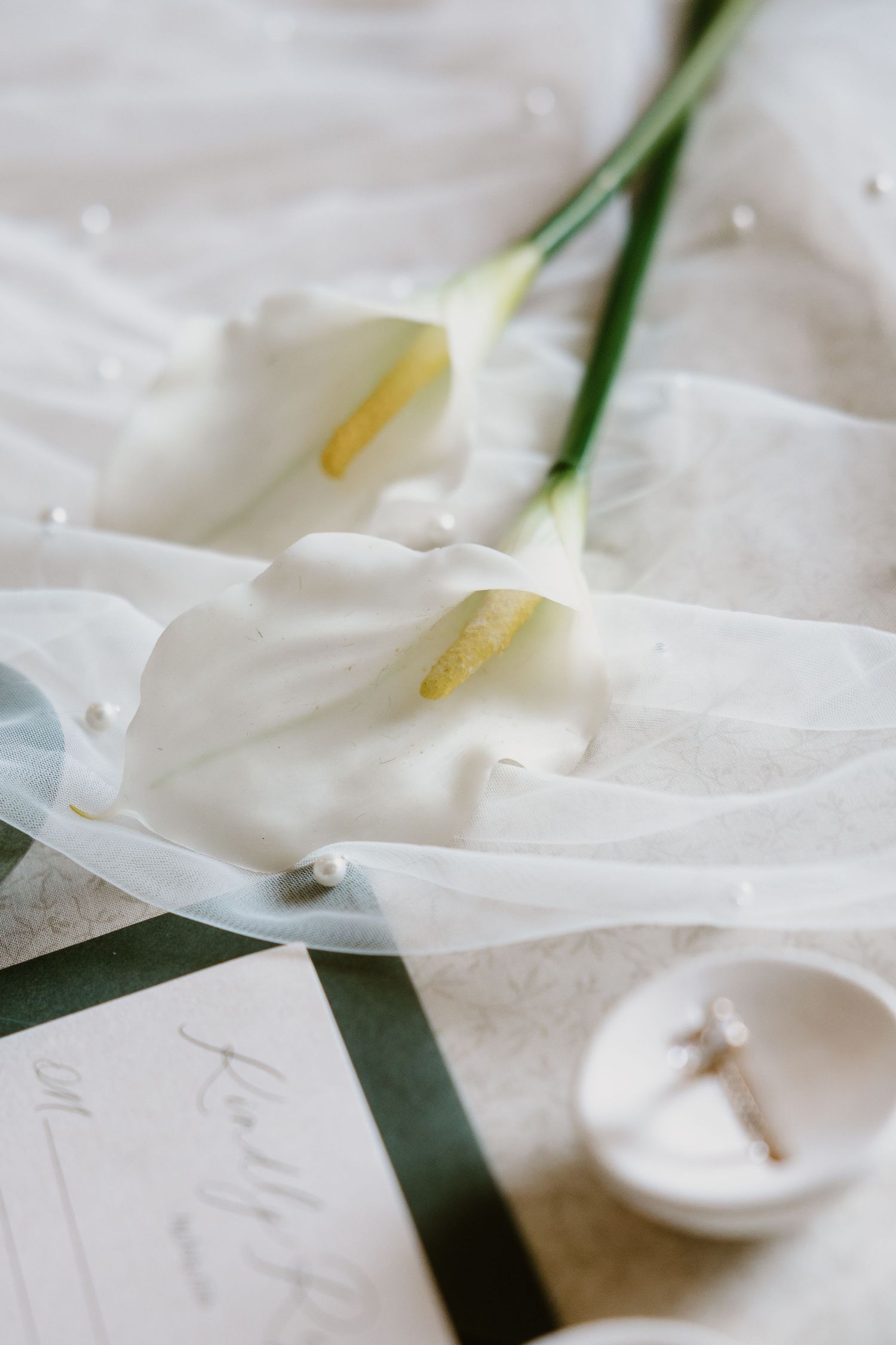 Close-up macro photography of delicate white calla lily petals with soft focus and gentle lighting.