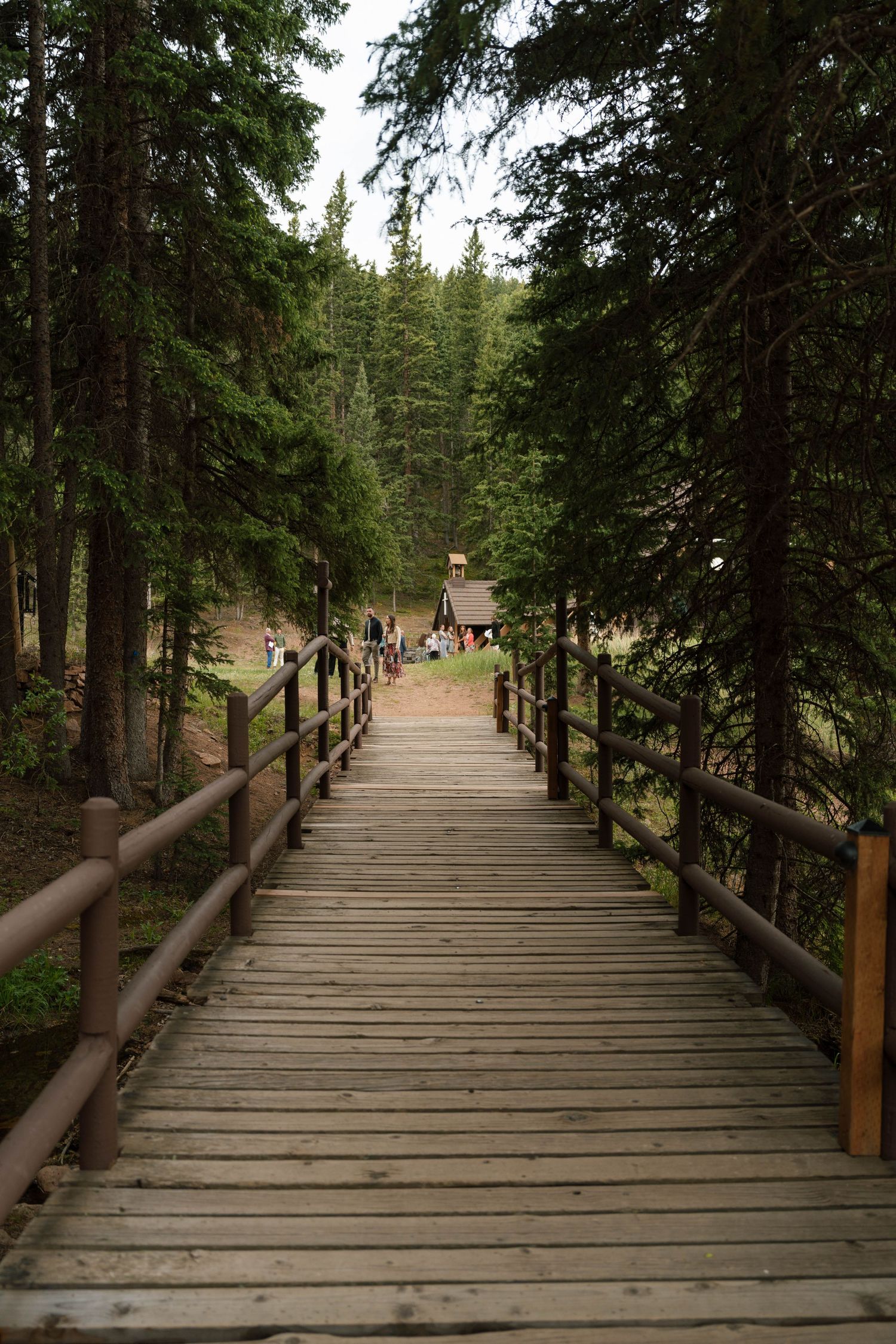 Wooden boardwalk path through pine forest leading to mountain wedding venue.