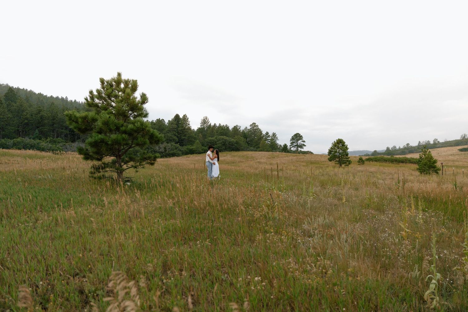 A distant figure in white stands alone in a vast mountain meadow.