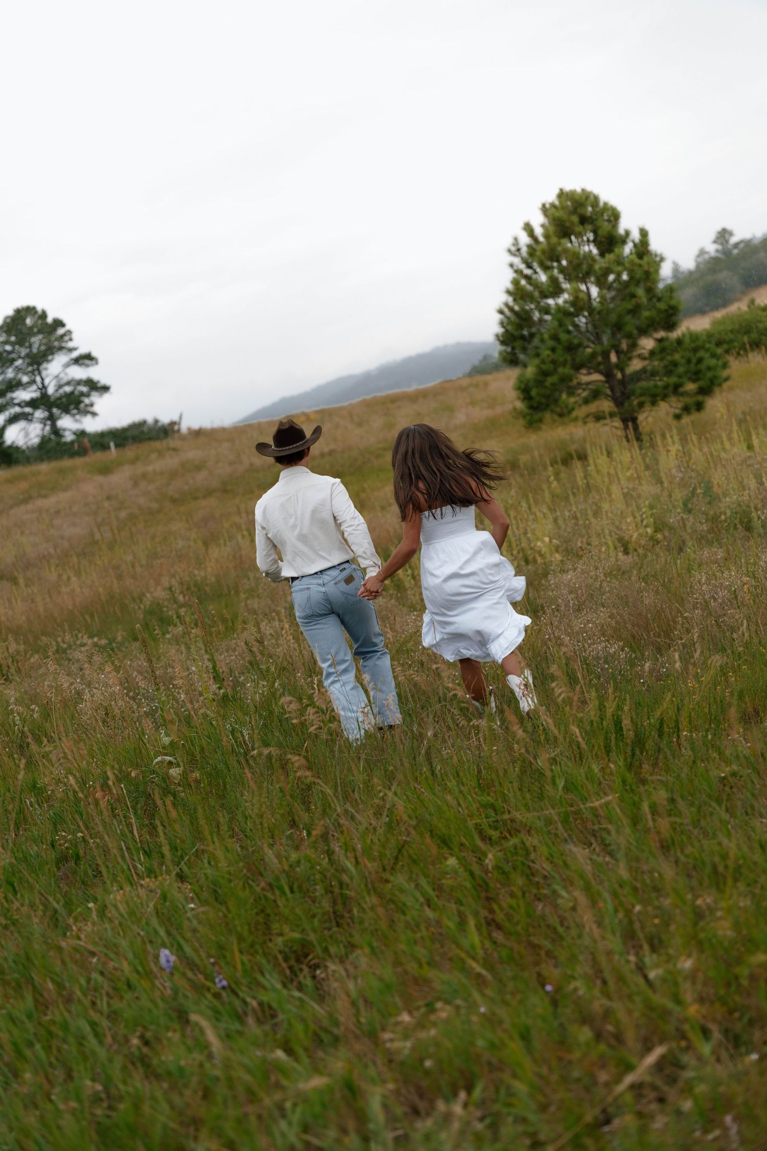 A couple walks through tall grass on a hillside with pine trees in the background.