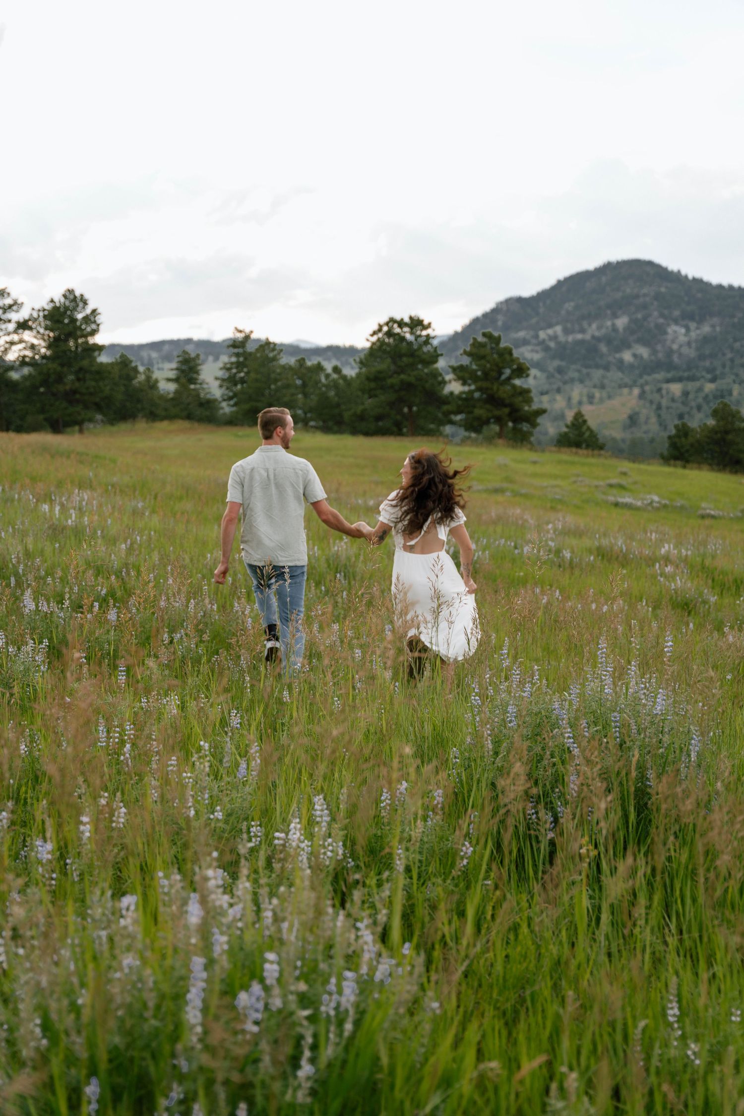 Couple walks hand in hand through a mountain meadow filled with purple lupine flowers.