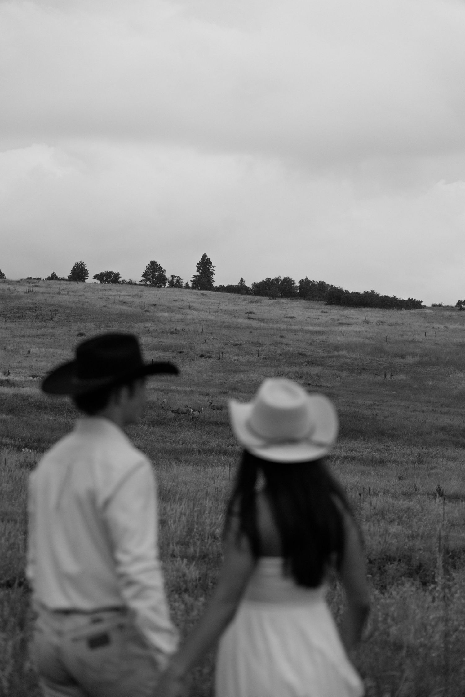 A black and white silhouette of a couple viewing the mountain landscape.