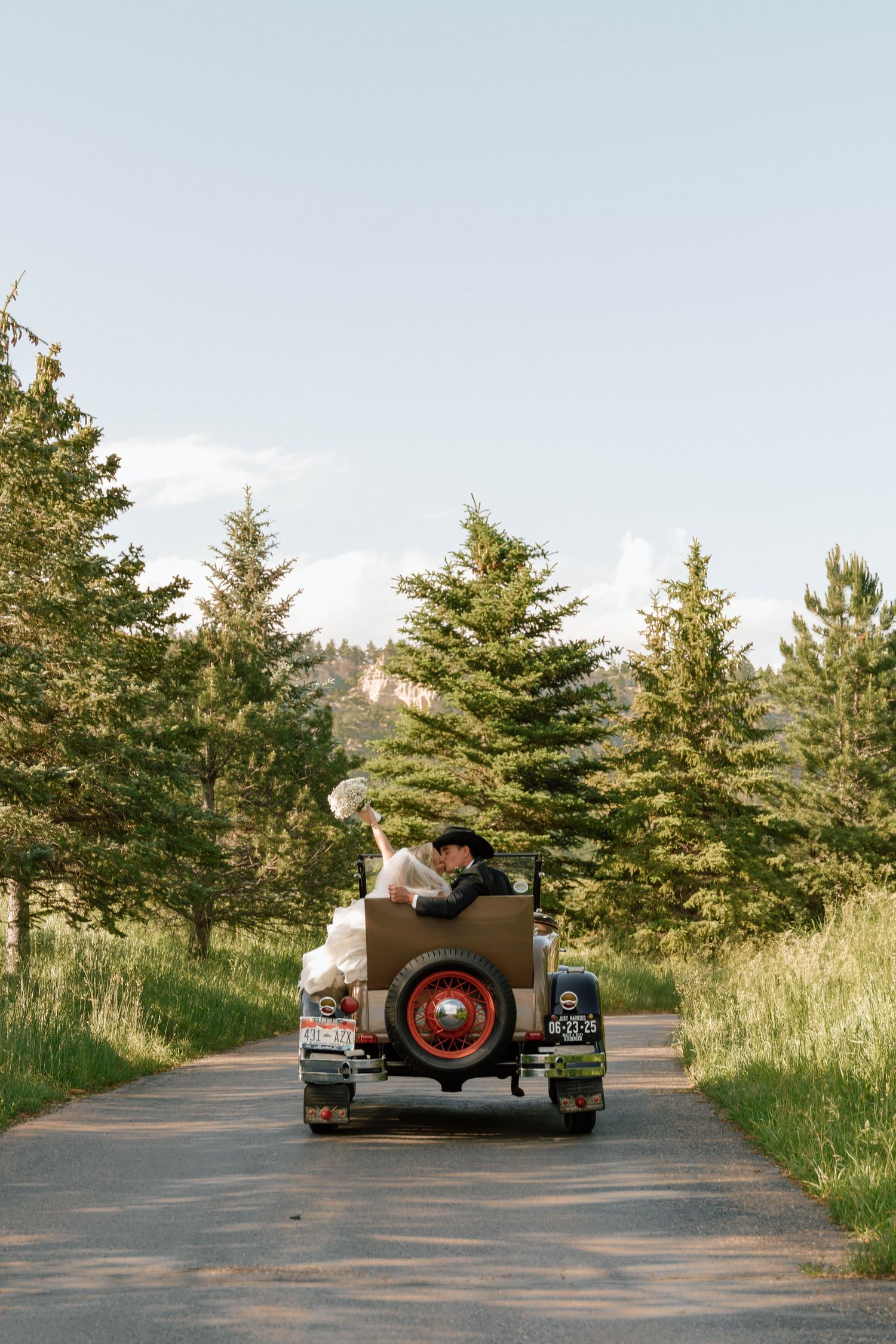 Classic vintage car driving down a tree-lined country road on a sunny day.
