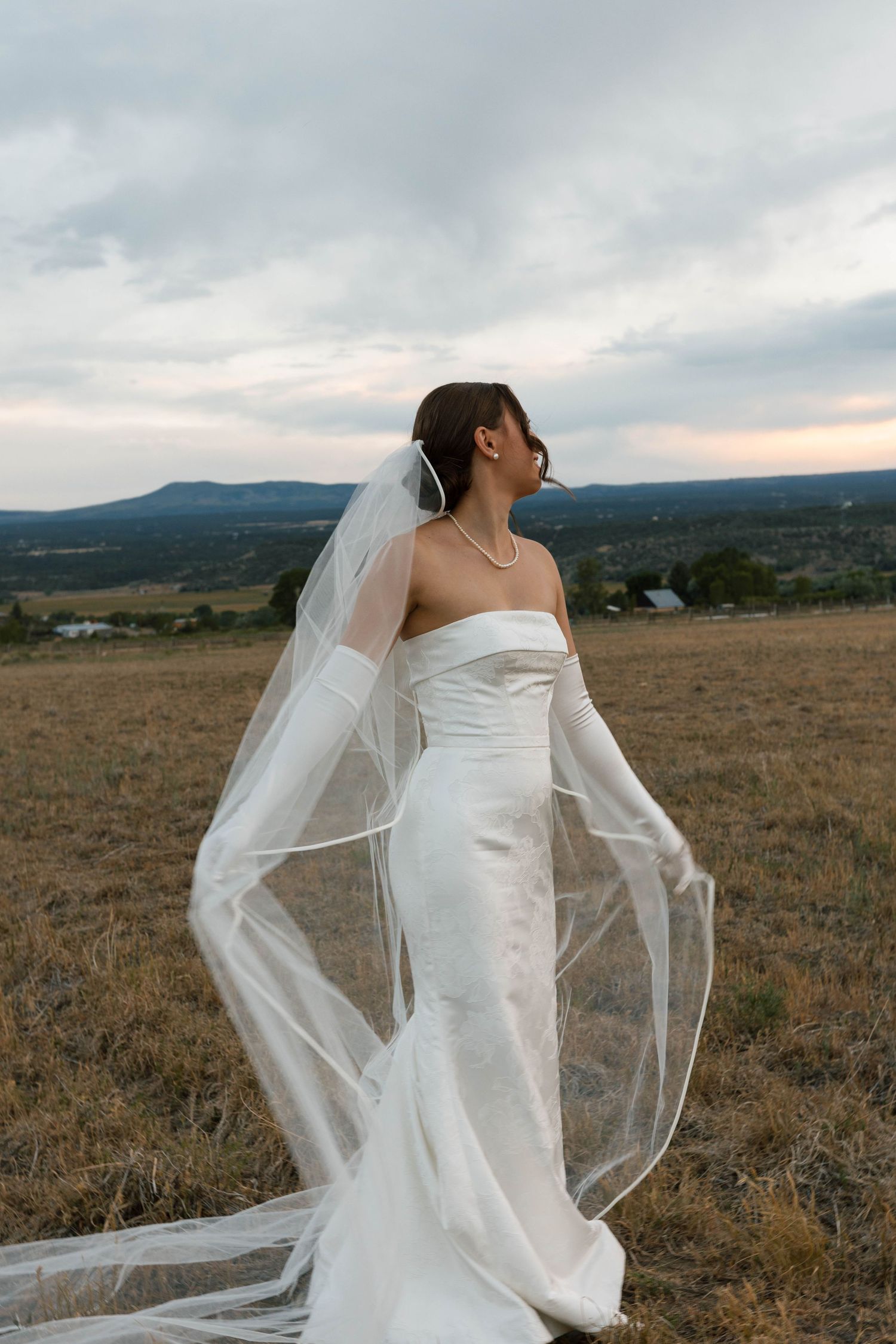 Bride in strapless white gown with flowing veil standing in golden field with mountain backdrop.