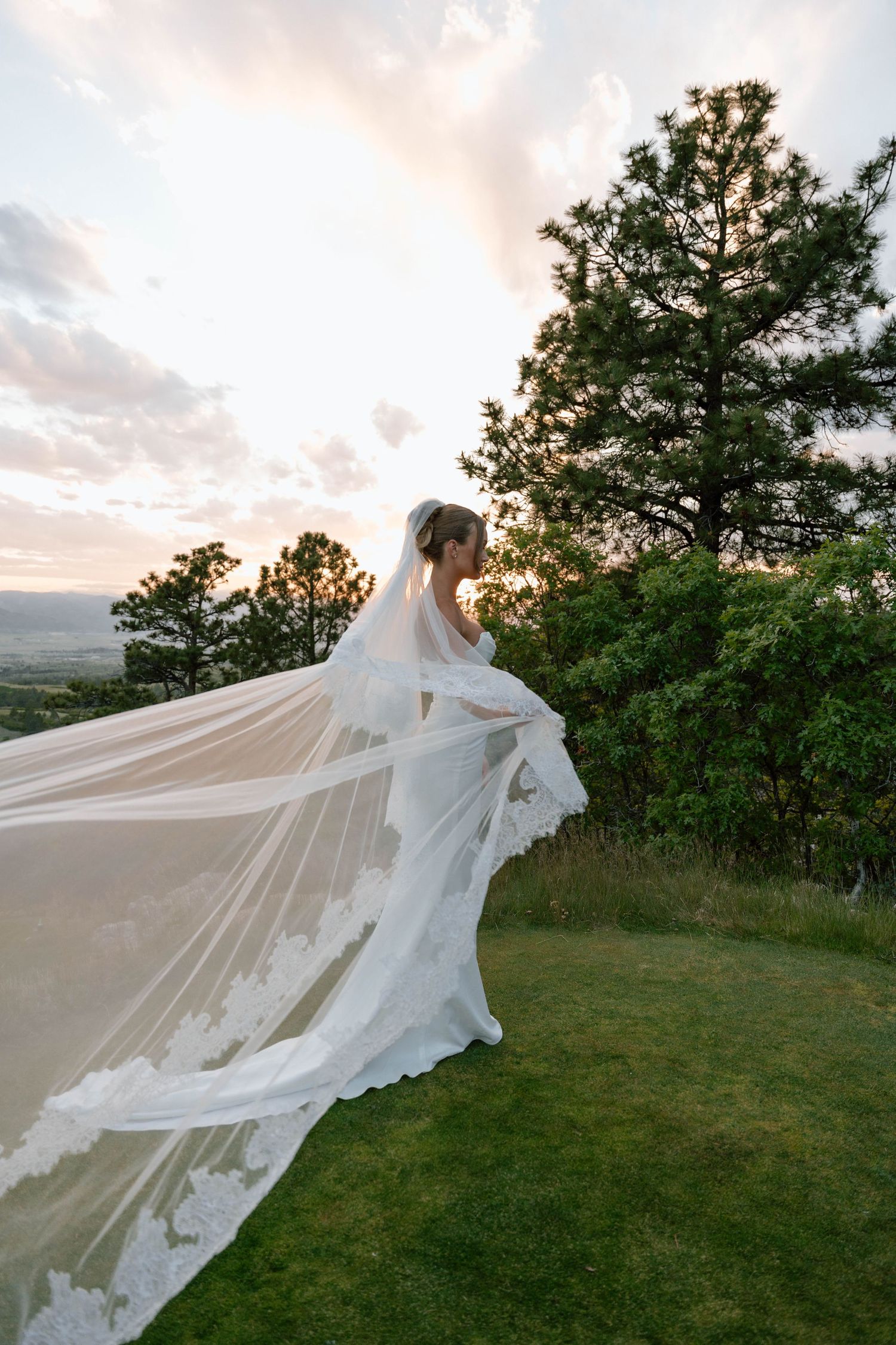 A flowing white wedding veil billows dramatically against a sunset sky with trees in the background.