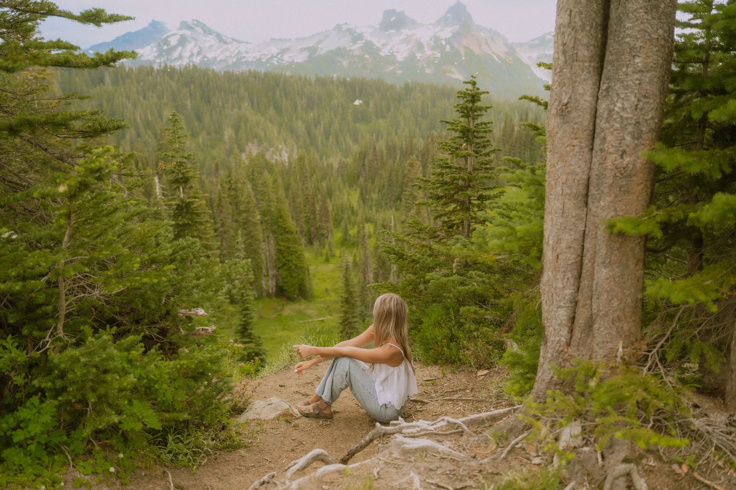 A scenic mountain landscape with evergreen forest and hiking trails stretches across multiple connected views.