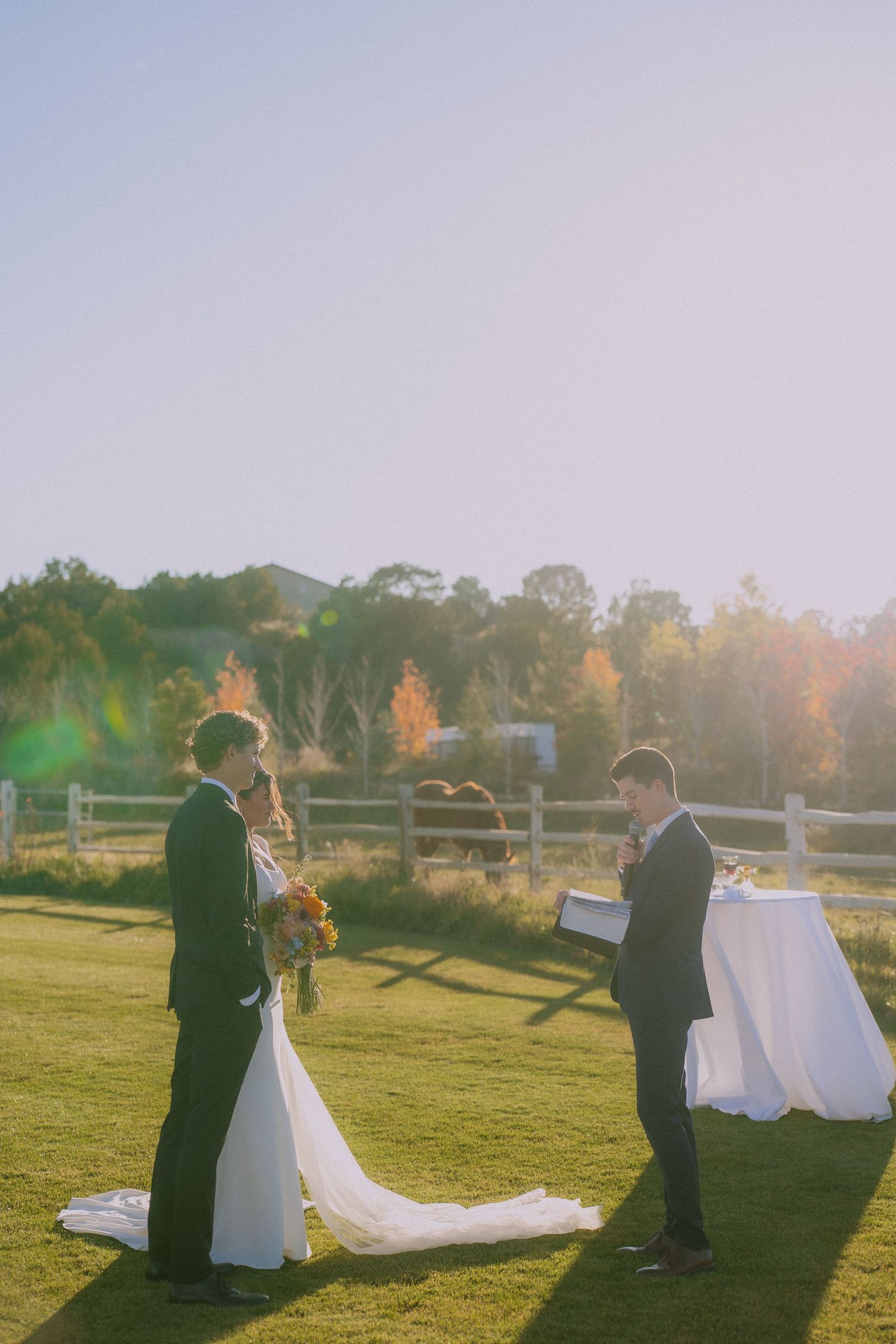 A wedding couple stands in a grassy field during golden hour with autumn foliage in the background.