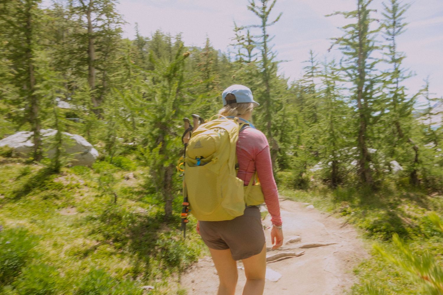 A hiker wearing a yellow hat and backpack explores a scenic trail through a lush evergreen forest on a sunny day.