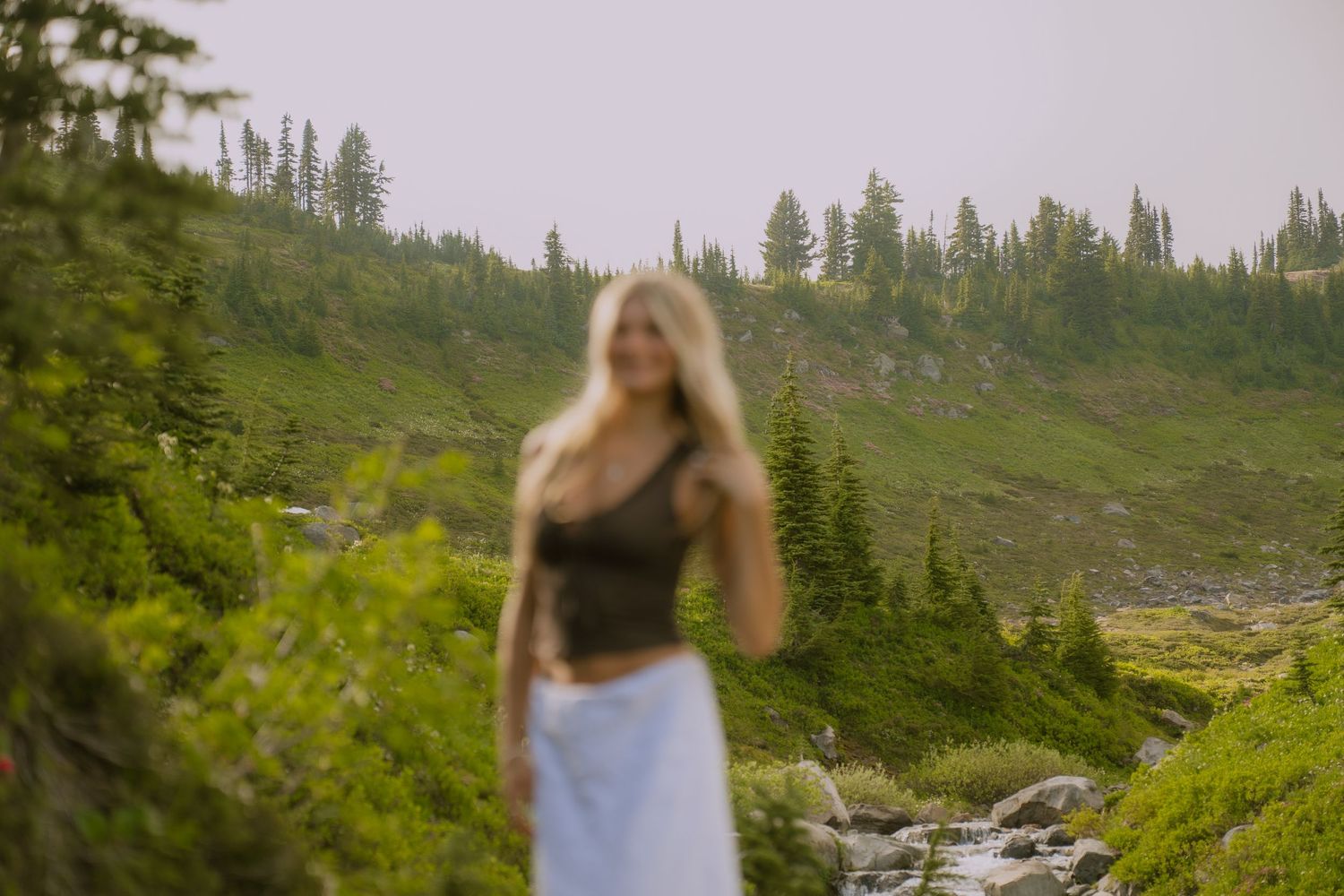 A scenic mountain trail winds through green alpine meadows with evergreen trees and rocky terrain in the distance.