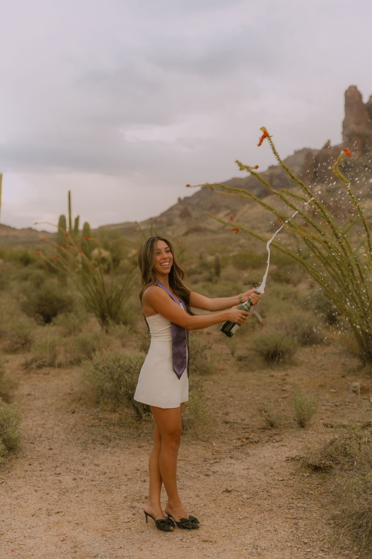 A sequence of desert landscape photos showing someone popping a champagne bottle among cacti and desert flora.