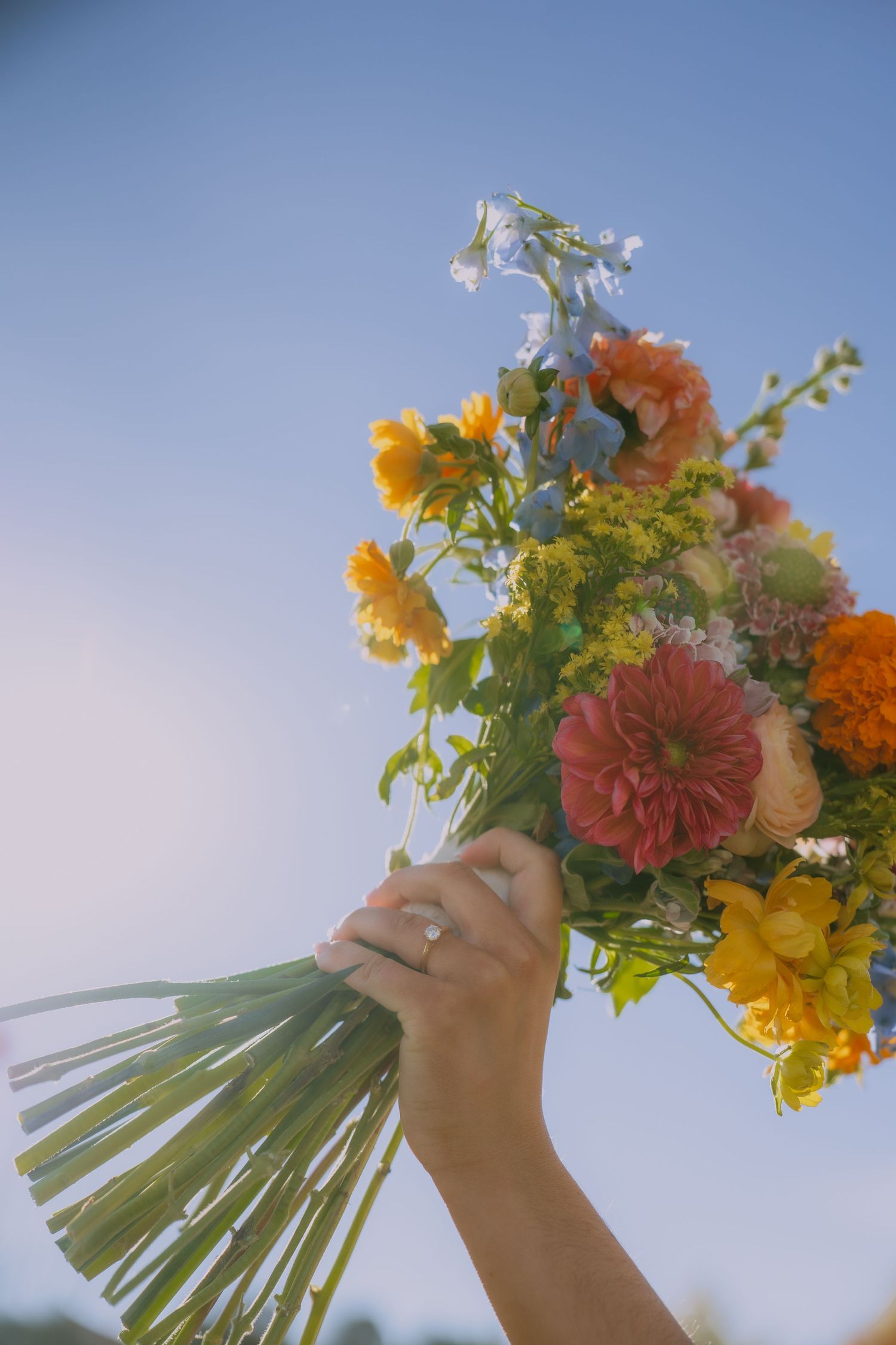 Vibrant orange and yellow wildflower bouquet held up against a bright blue sky.