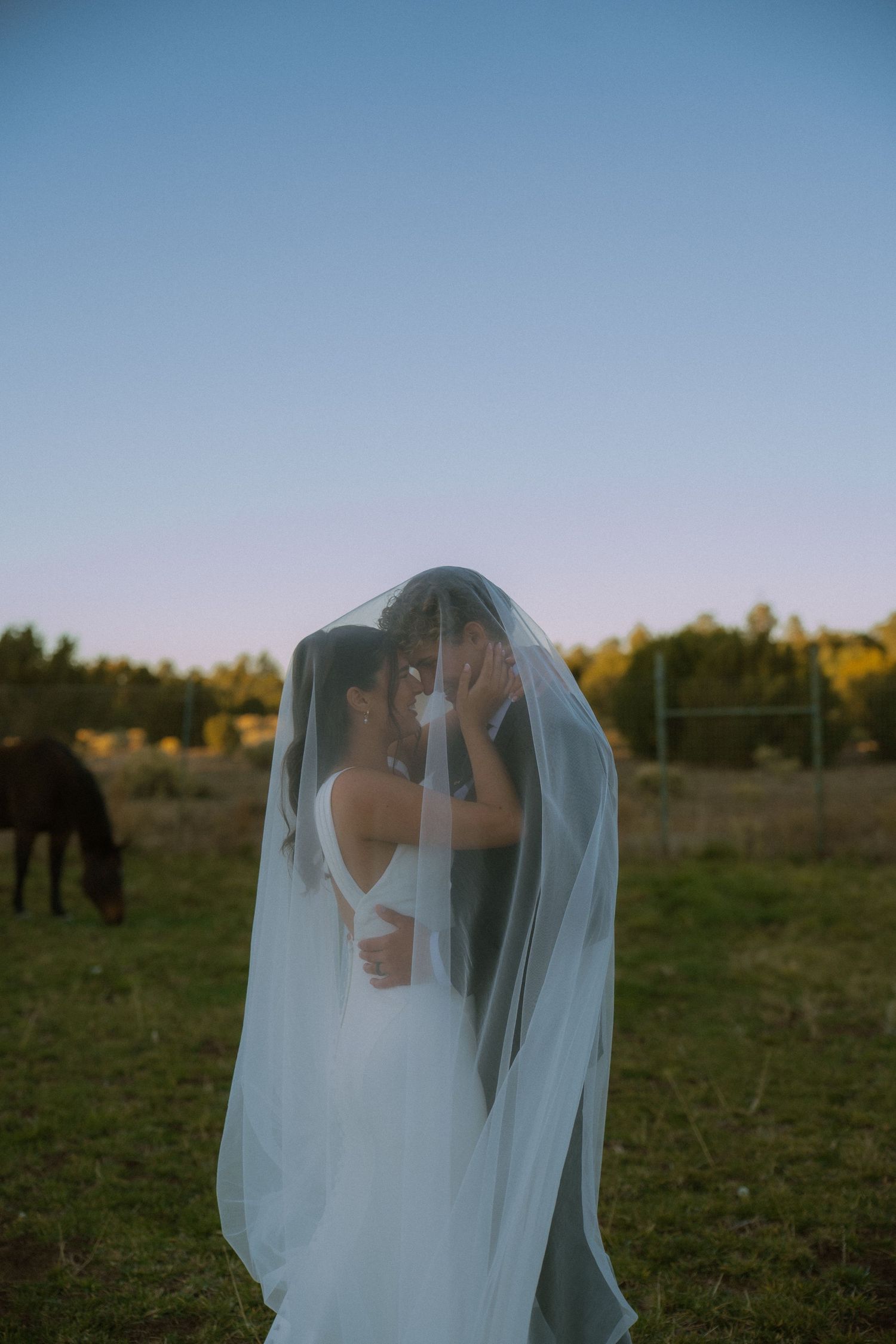 A flowing white wedding veil catches the breeze in an outdoor field at dusk.