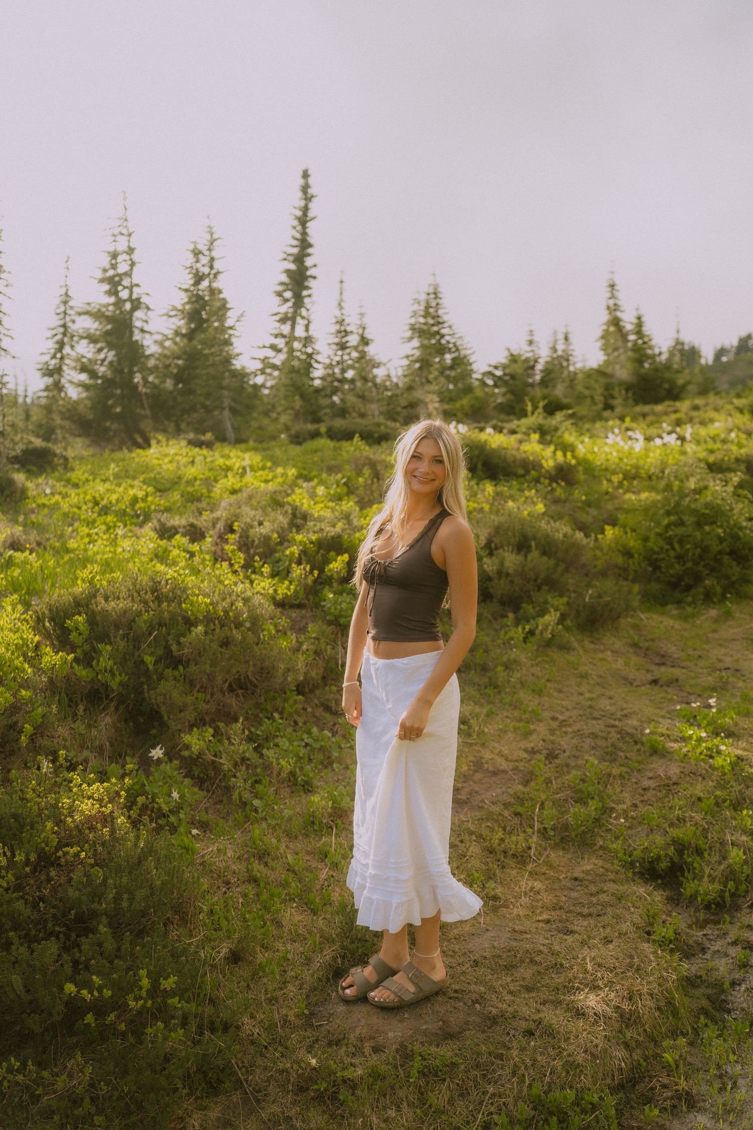 A grassy hillside trail winding through evergreen trees and yellow wildflowers in the mountains.