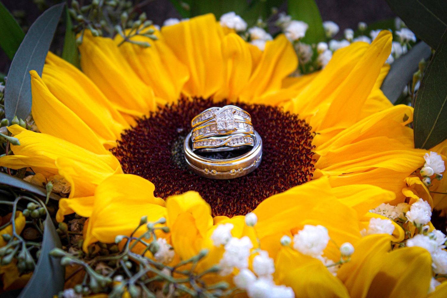 Wedding rings resting on a vibrant yellow sunflower centerpiece with baby's breath accents.