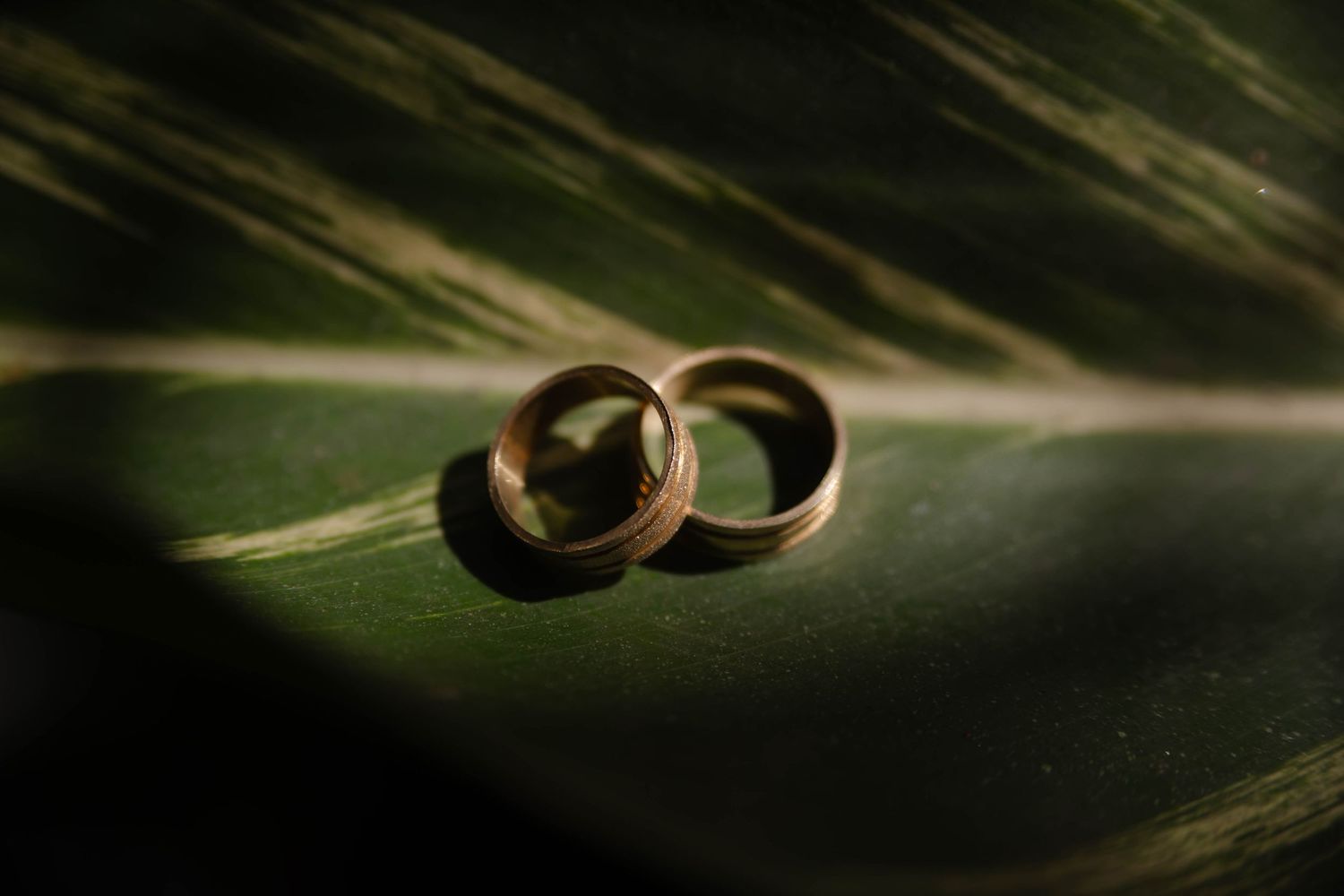 Wedding rings photographed in dramatic lighting with shadow patterns.