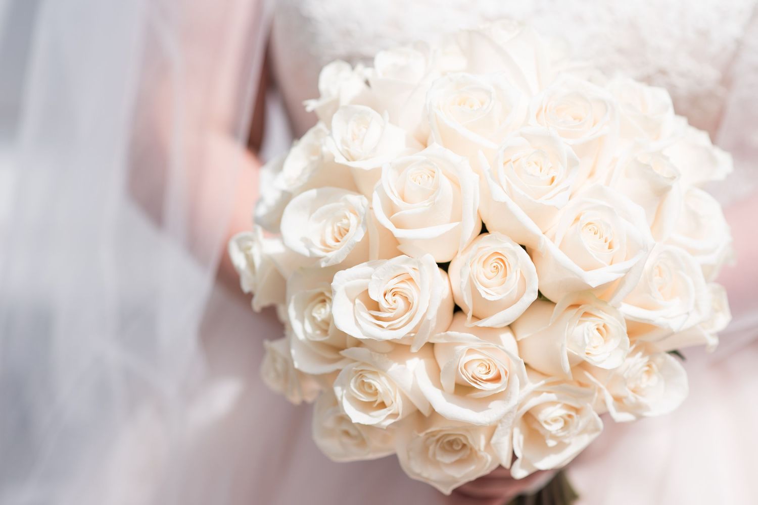 The bride holds a delicate bridal bouquet of cream-colored roses in full bloom.