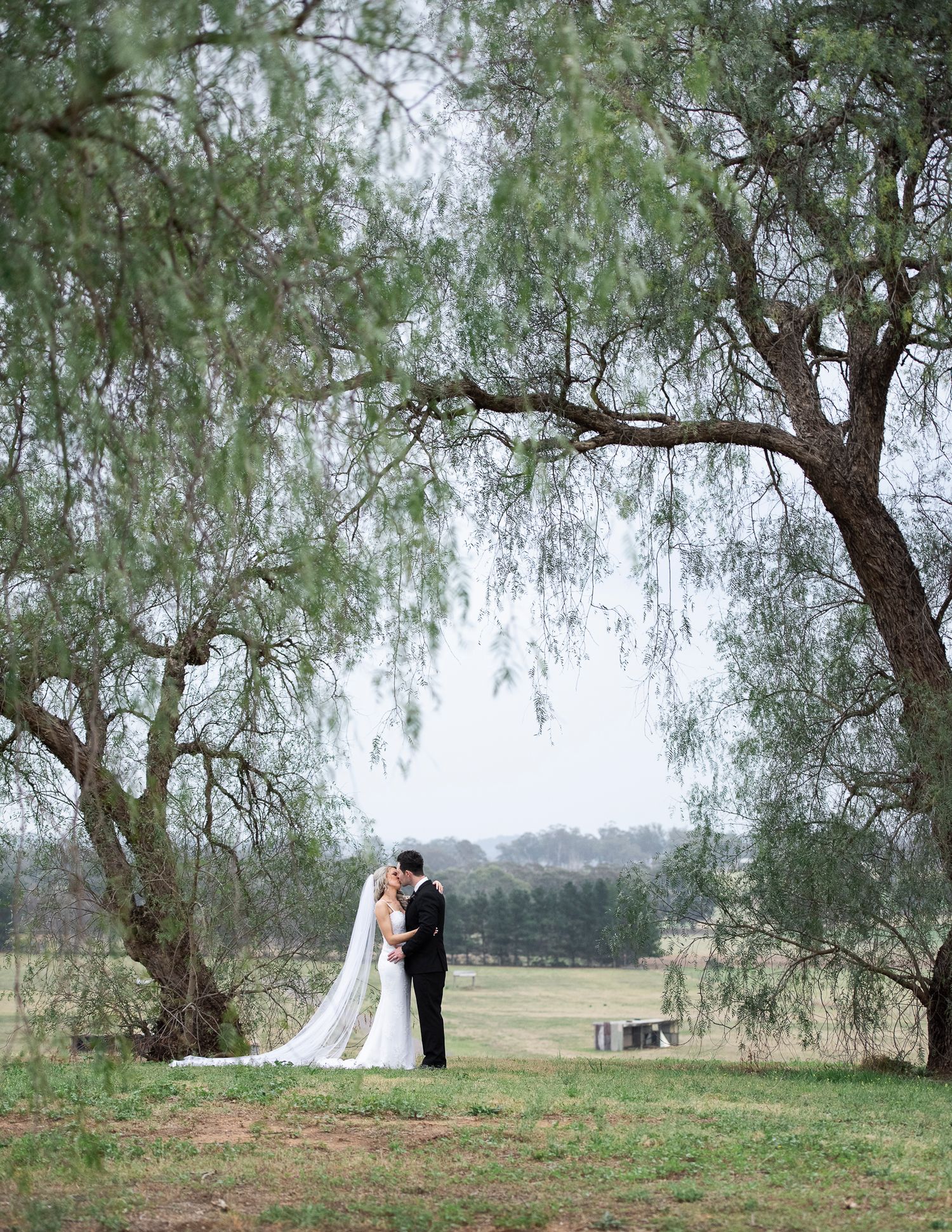 A romantic wedding couple shares an intimate moment under a weeping willow tree in a serene countryside setting.
