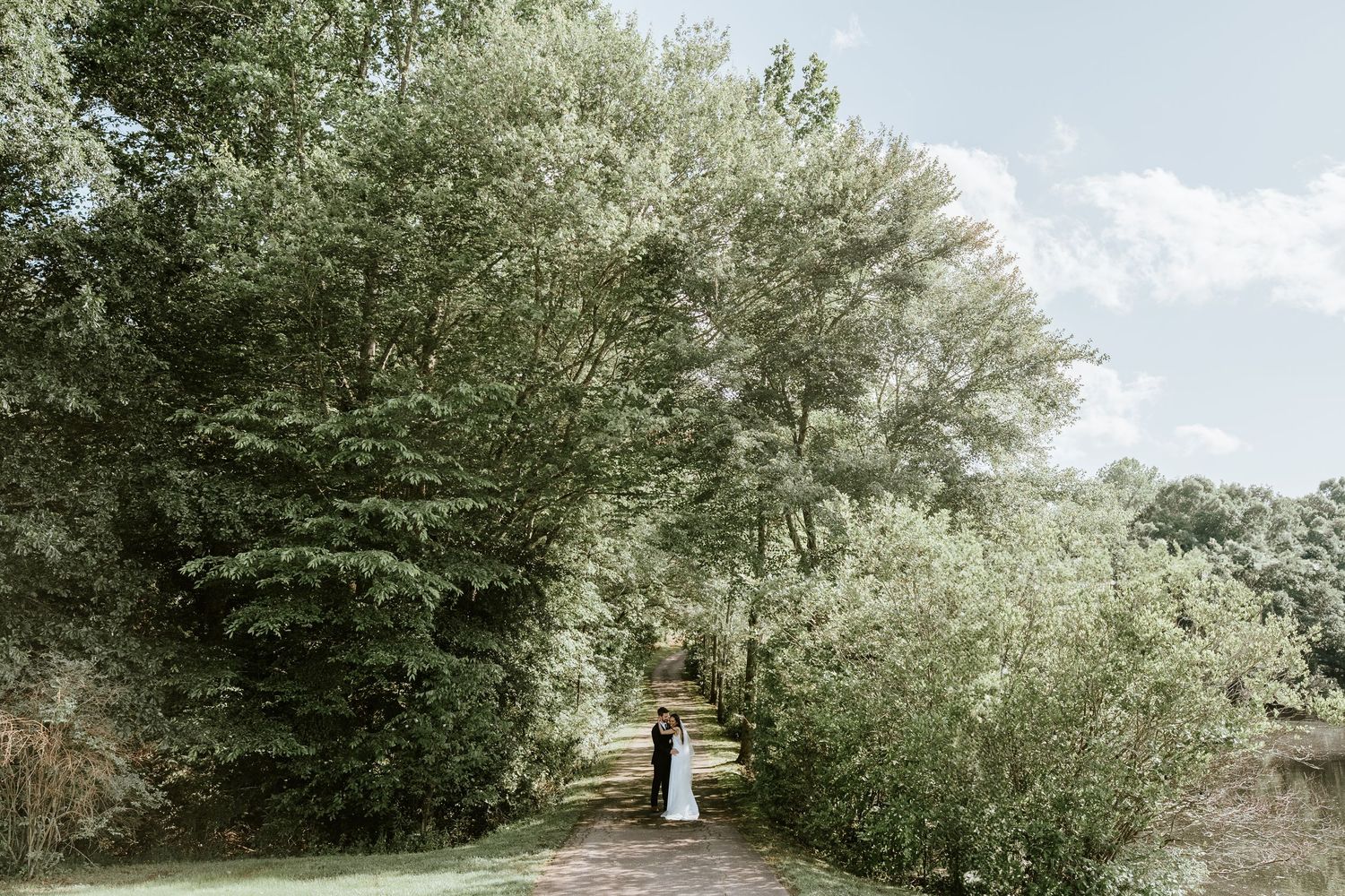A couple embraces on a tree-lined path in a romantic outdoor setting with soft natural lighting.