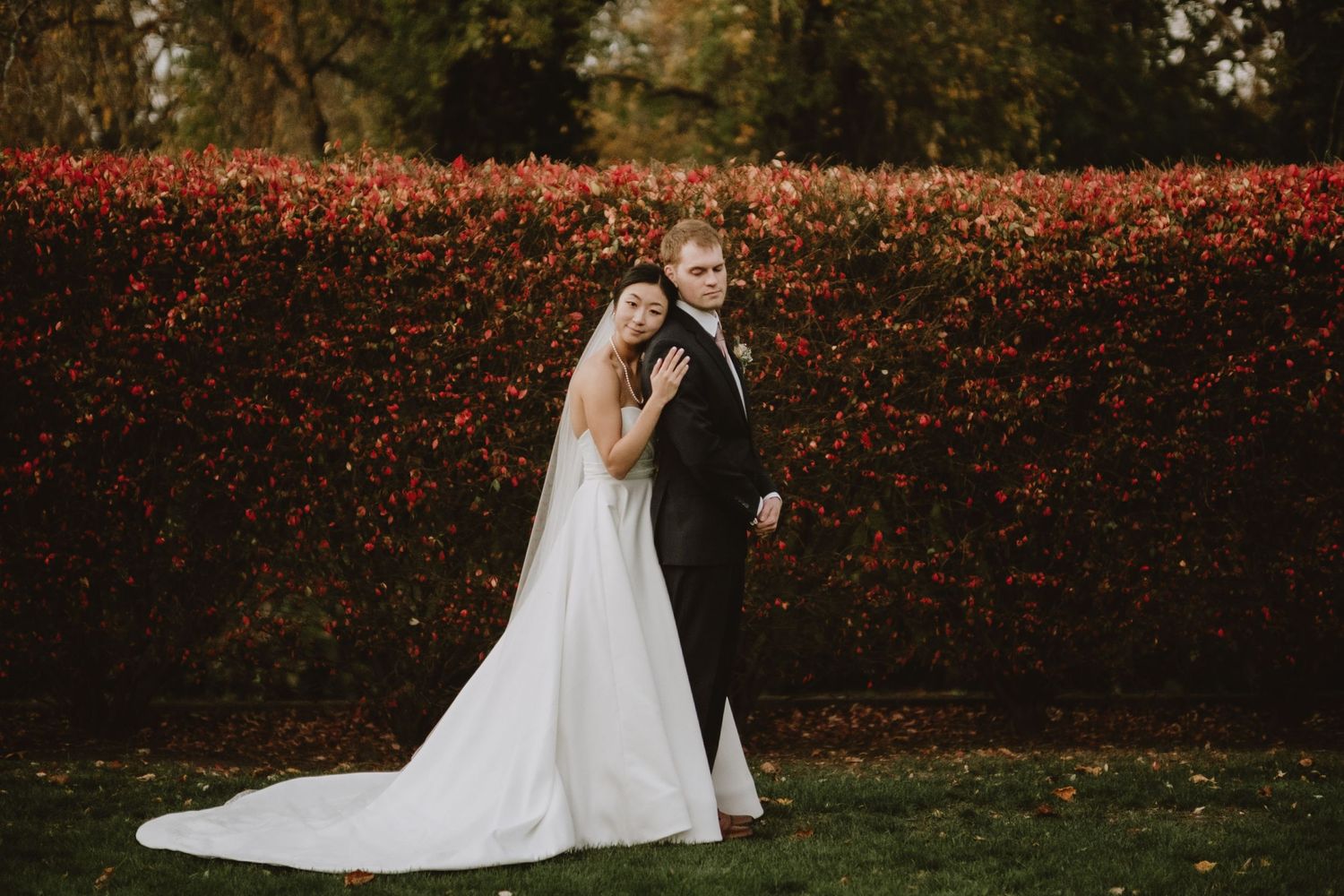 Wedding couple poses against a vibrant red autumn hedge backdrop.