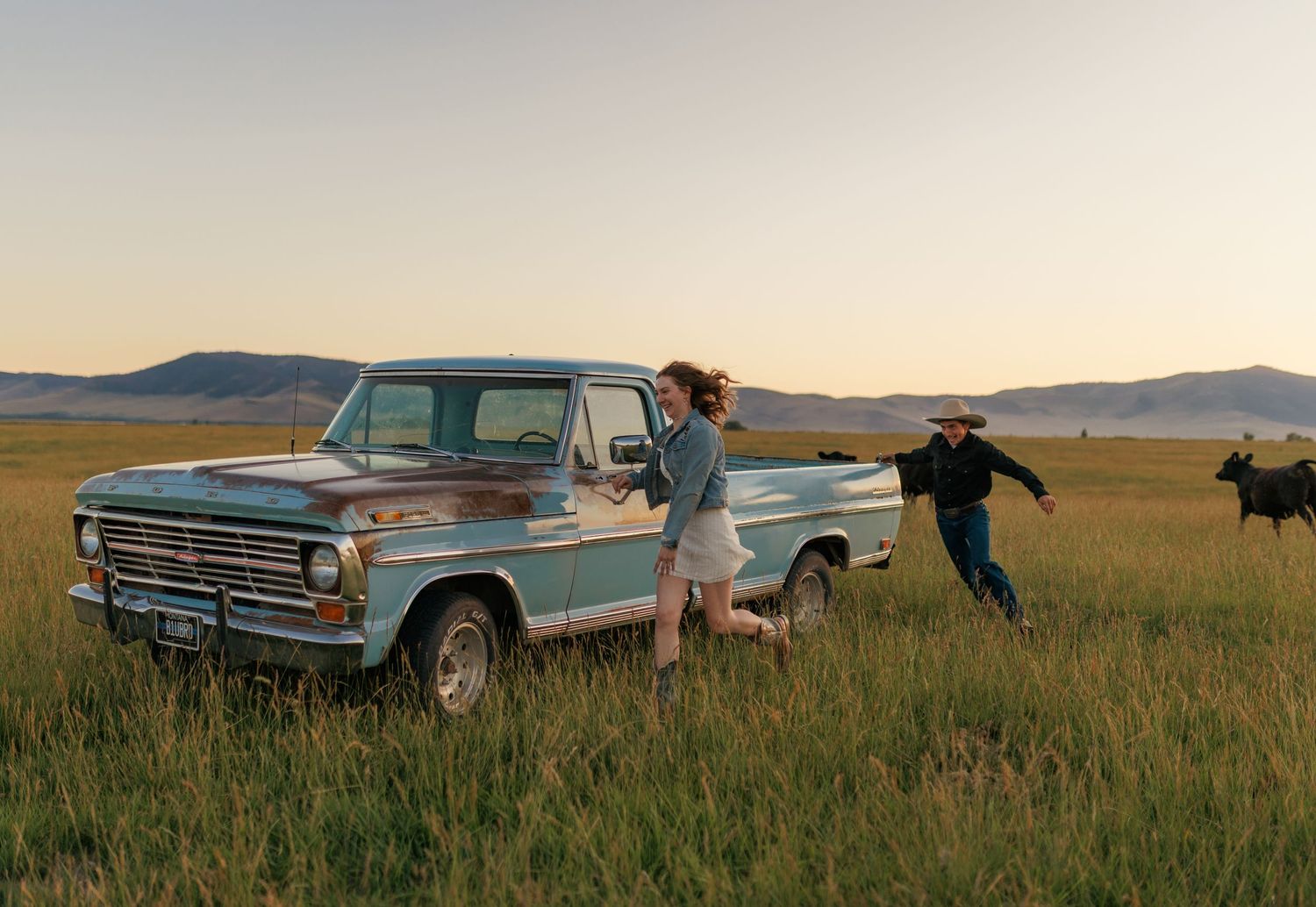 Classic pickup truck parked in grassy field with mountains and cattle in background at sunset.