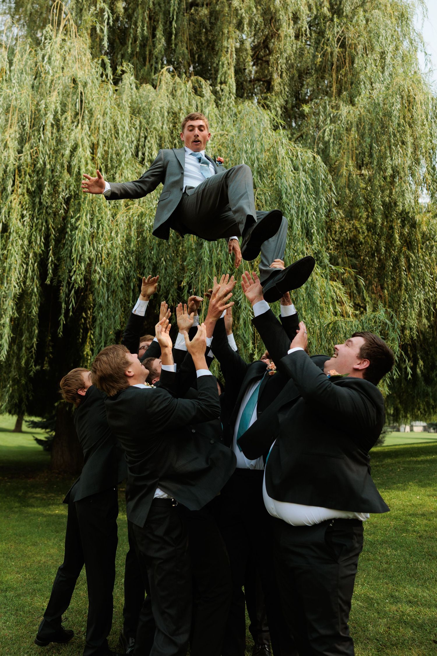 Groomsmen tossing groom into the air outdoors near a weeping willow tree during a wedding celebration in Montana.