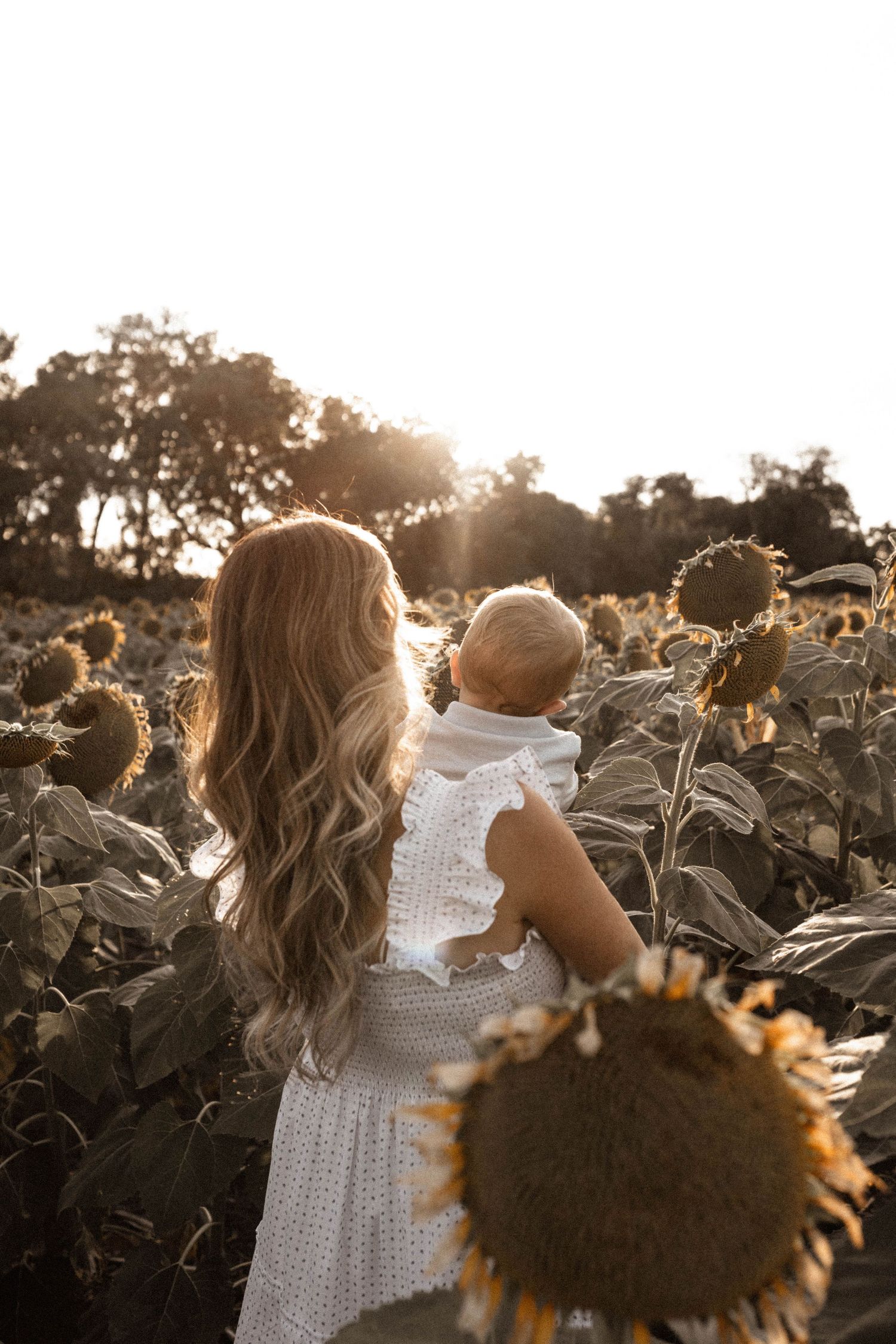 Golden hour motherhood photography in a sunflower field with flowing white dress creating dreamy atmosphere. Mom is holding baby.