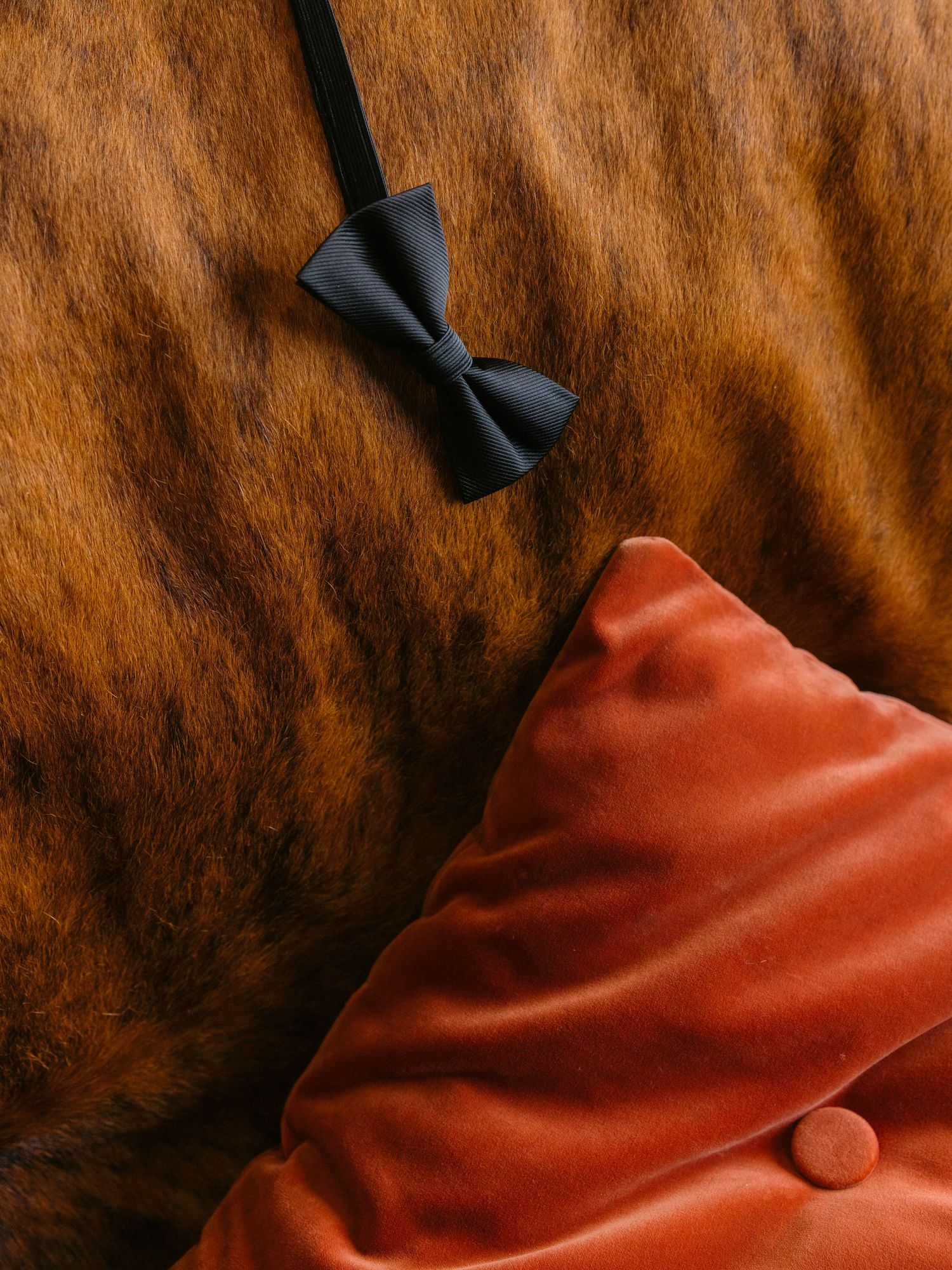 Black bow tie and coral fabric against a textured brown leather background.