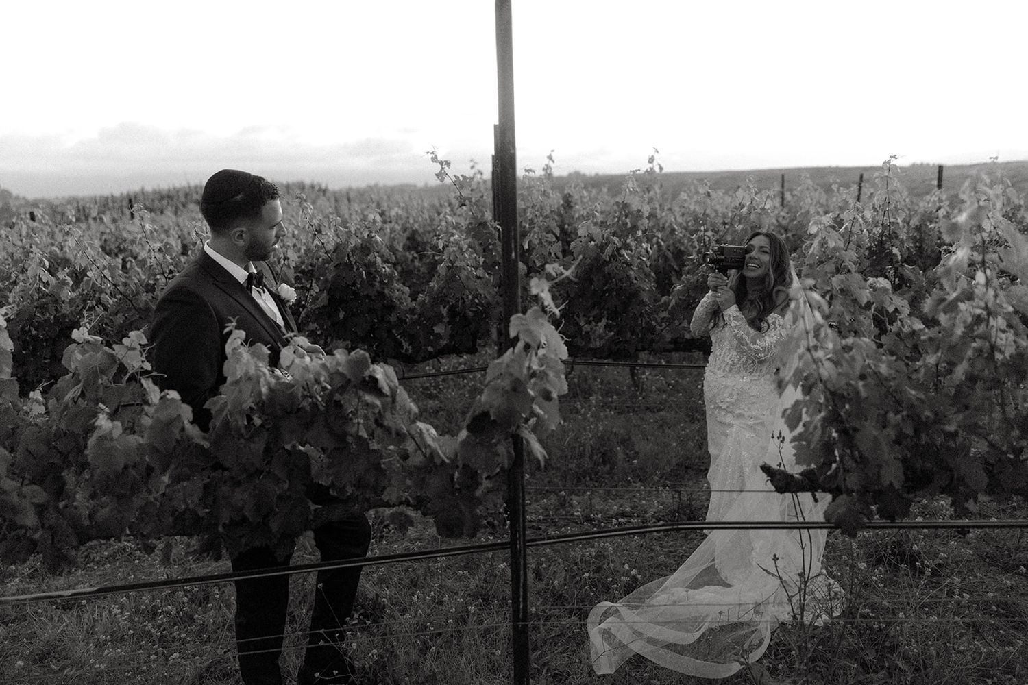 Vintage black and white photograph showing people working in a vineyard with grapevines in the background.