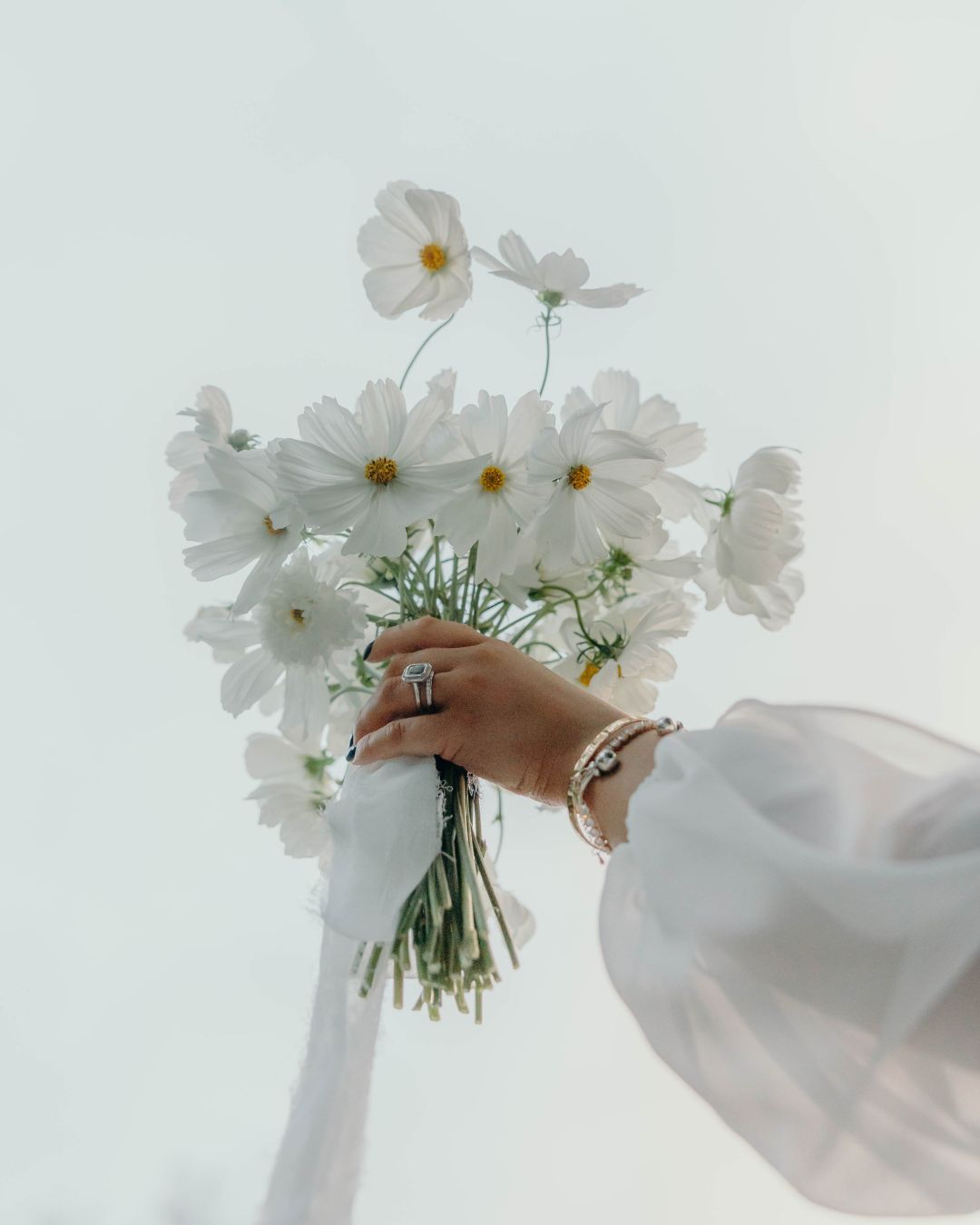 A hand holds a delicate bouquet of white cosmos flowers against a light background while wearing a white flowy sleeve.